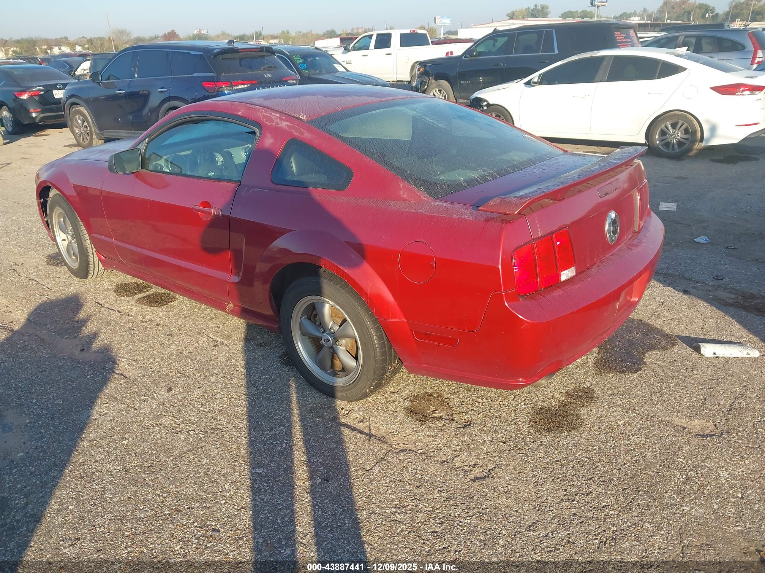 FORD MUSTANG image 3