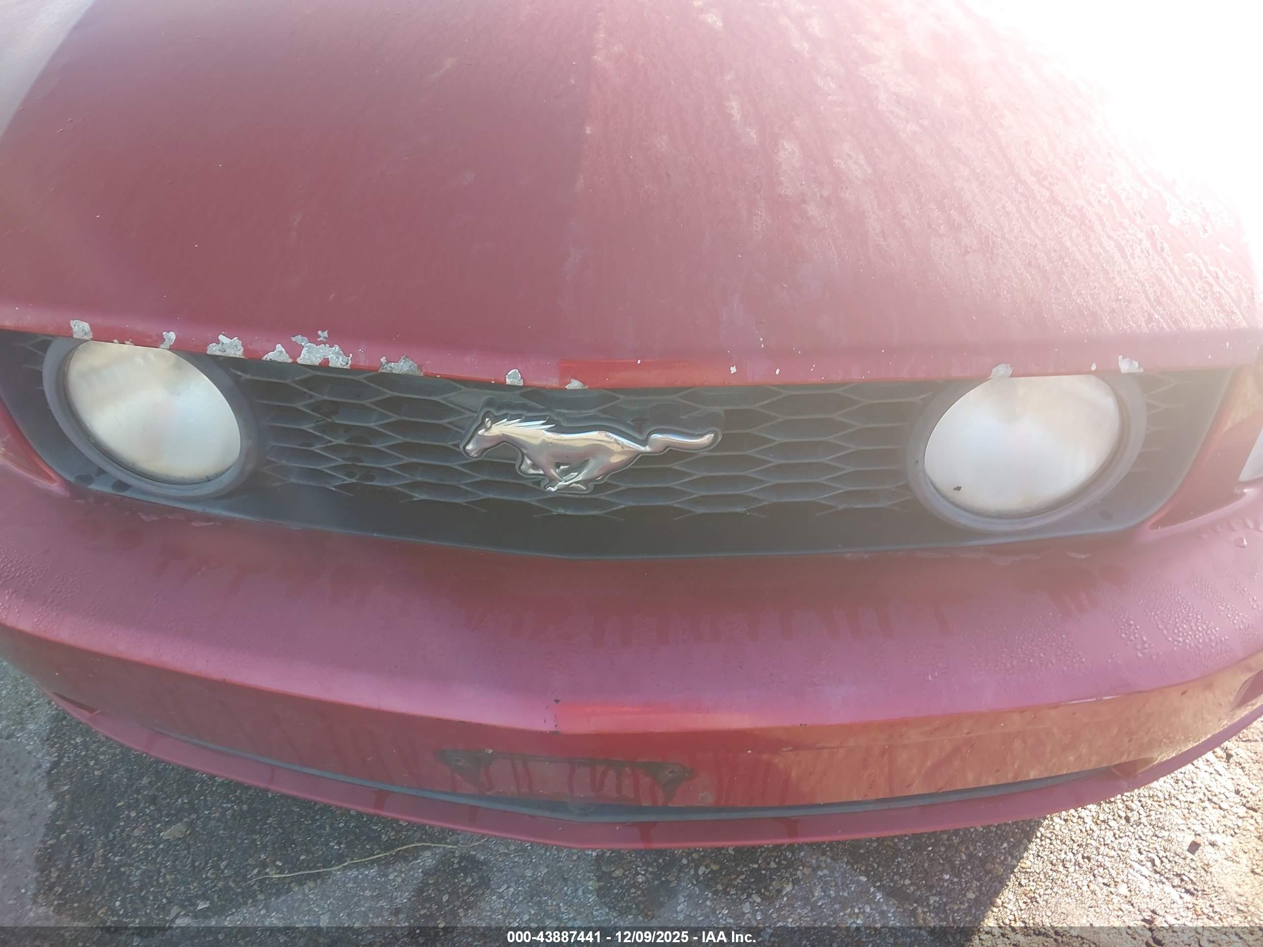 FORD MUSTANG image 6