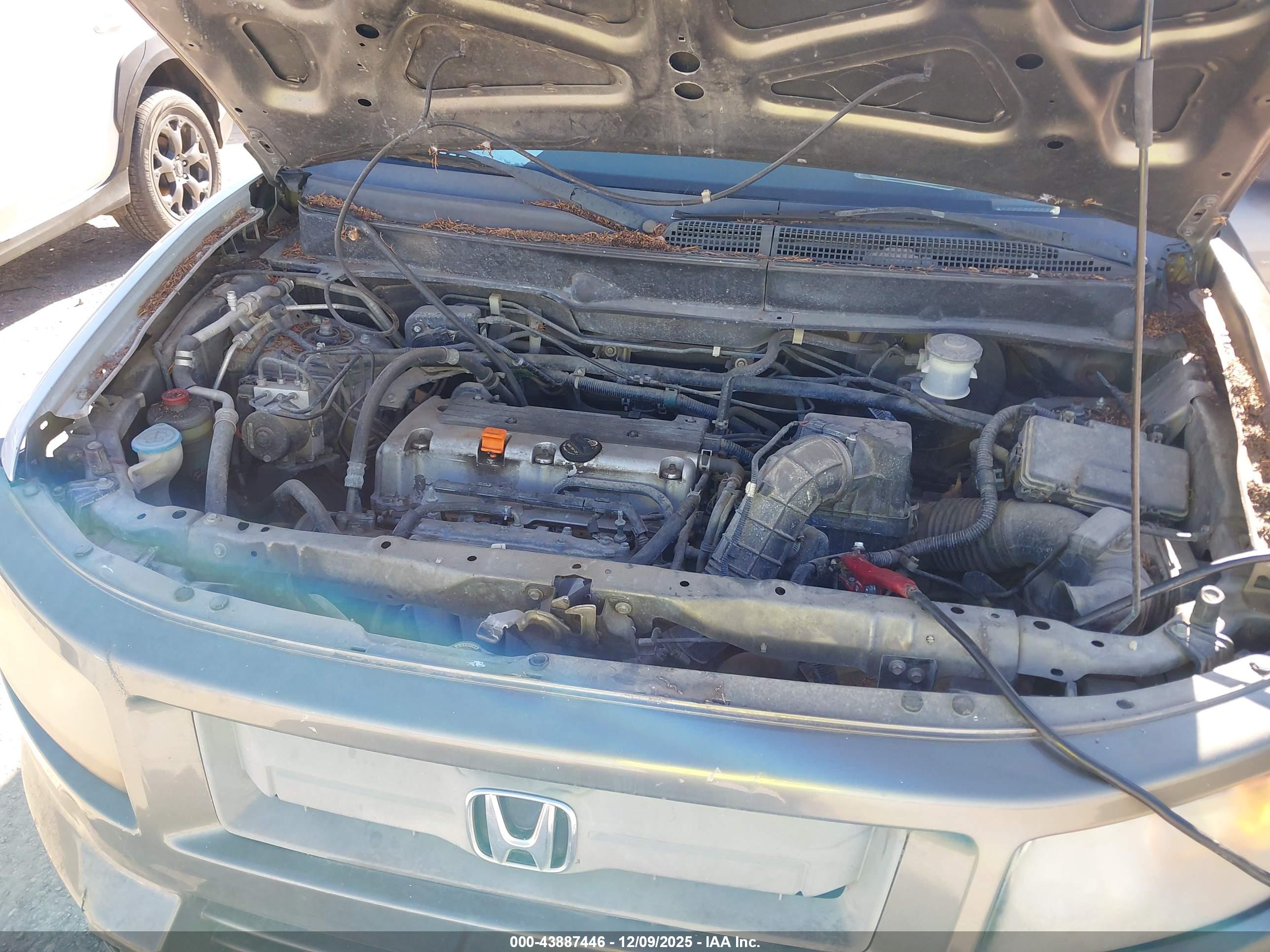 HONDA ELEMENT image 10