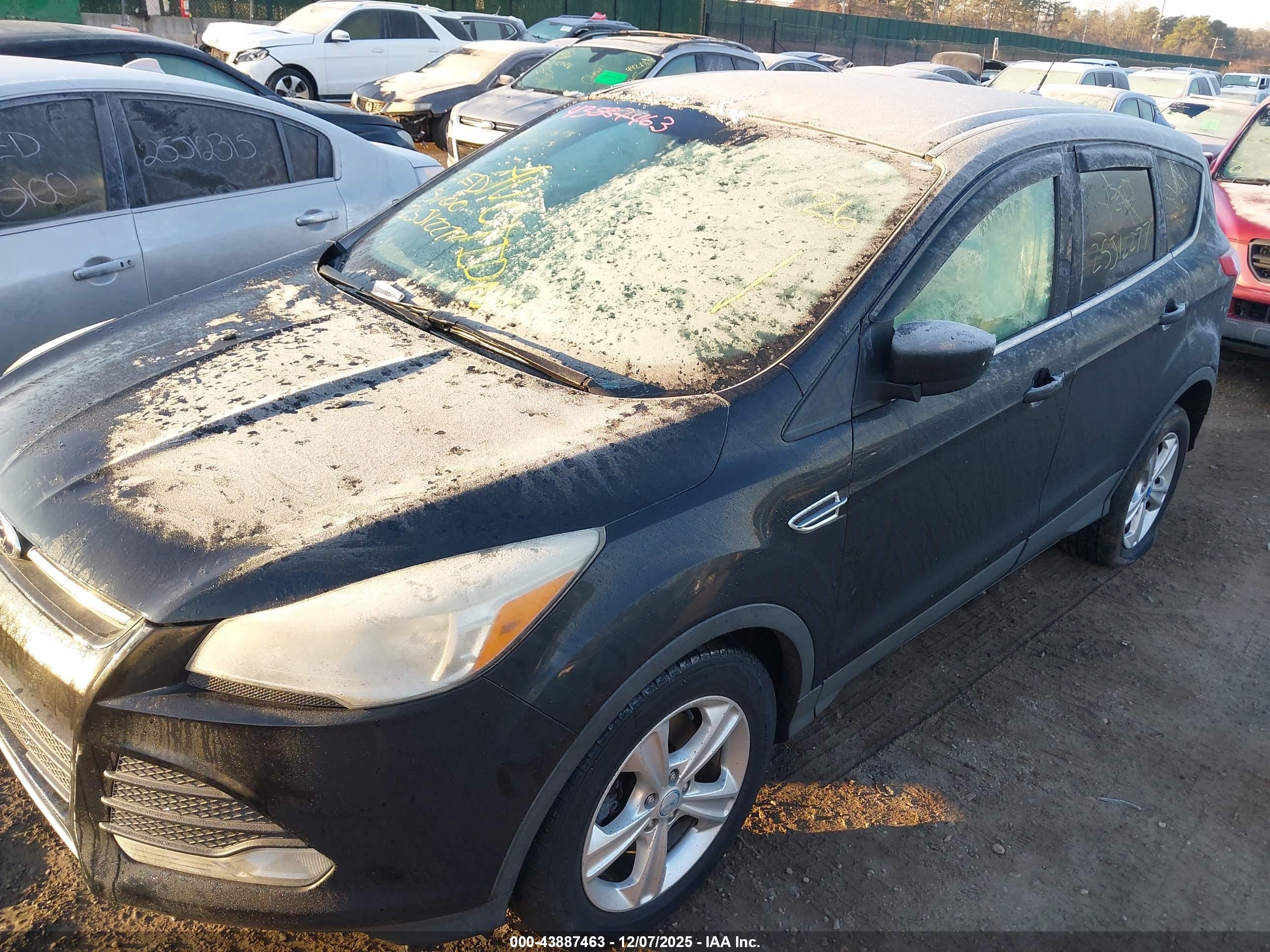 FORD ESCAPE image 2