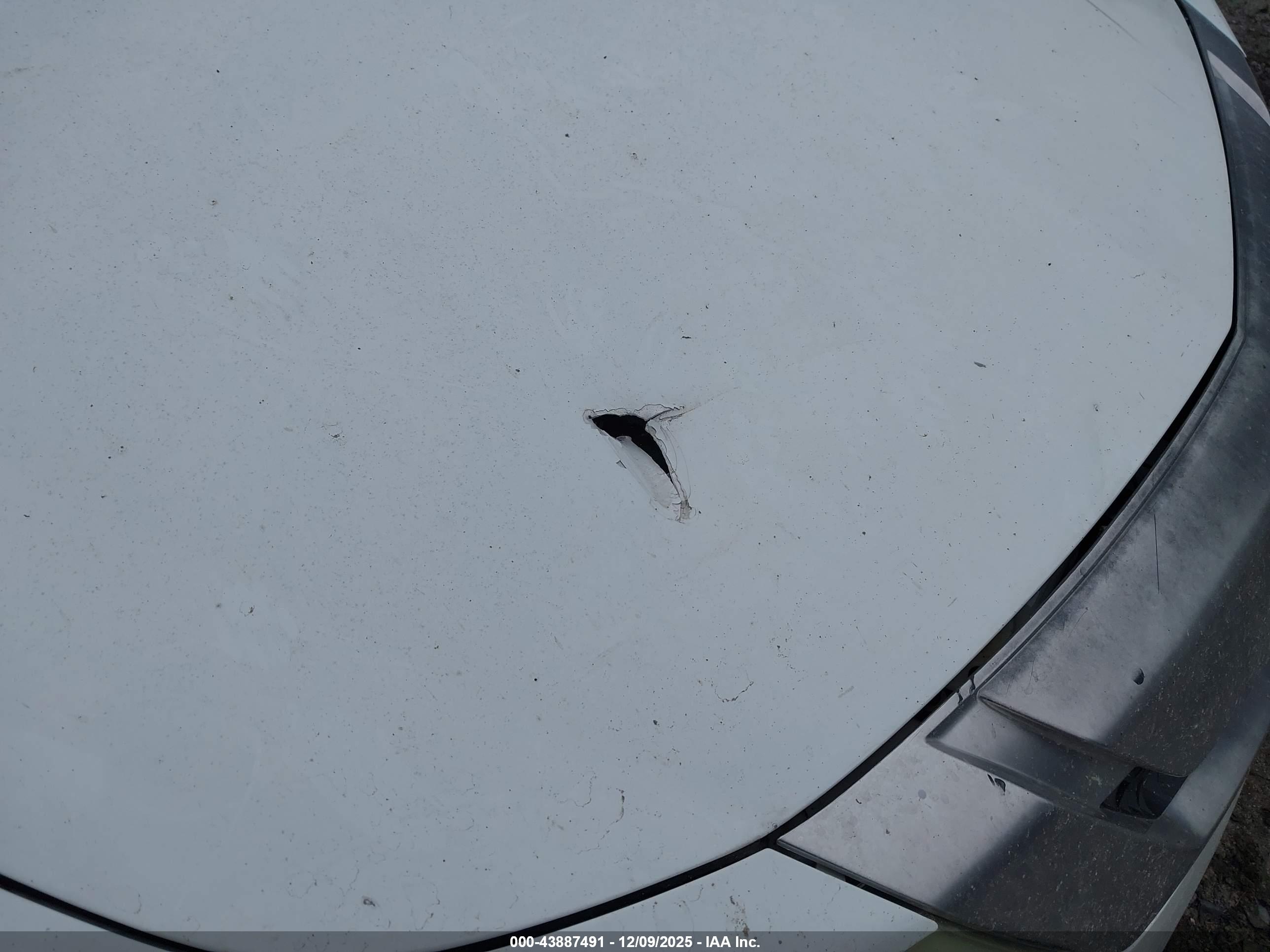 ACURA TL image 6