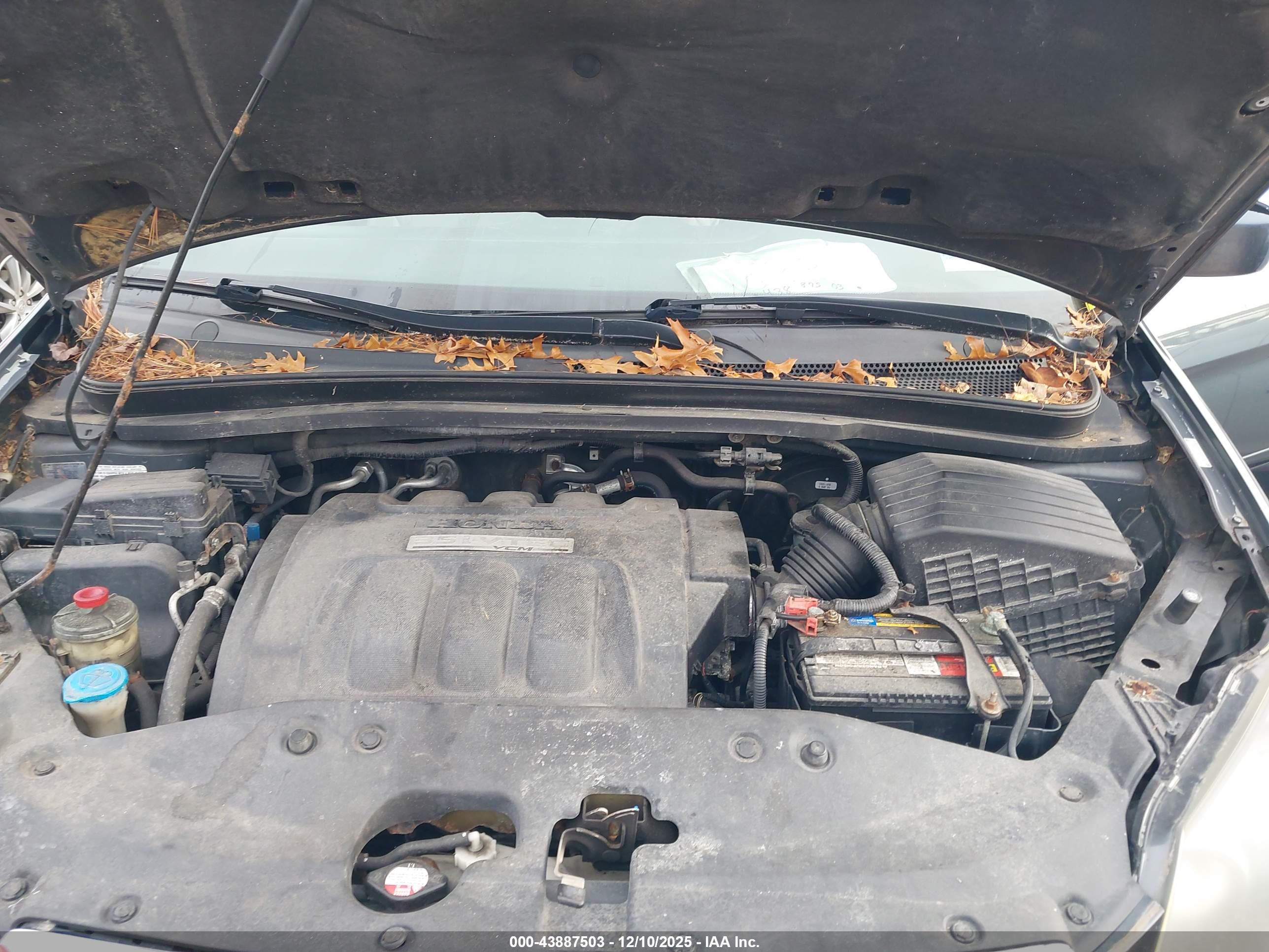 HONDA ODYSSEY image 10