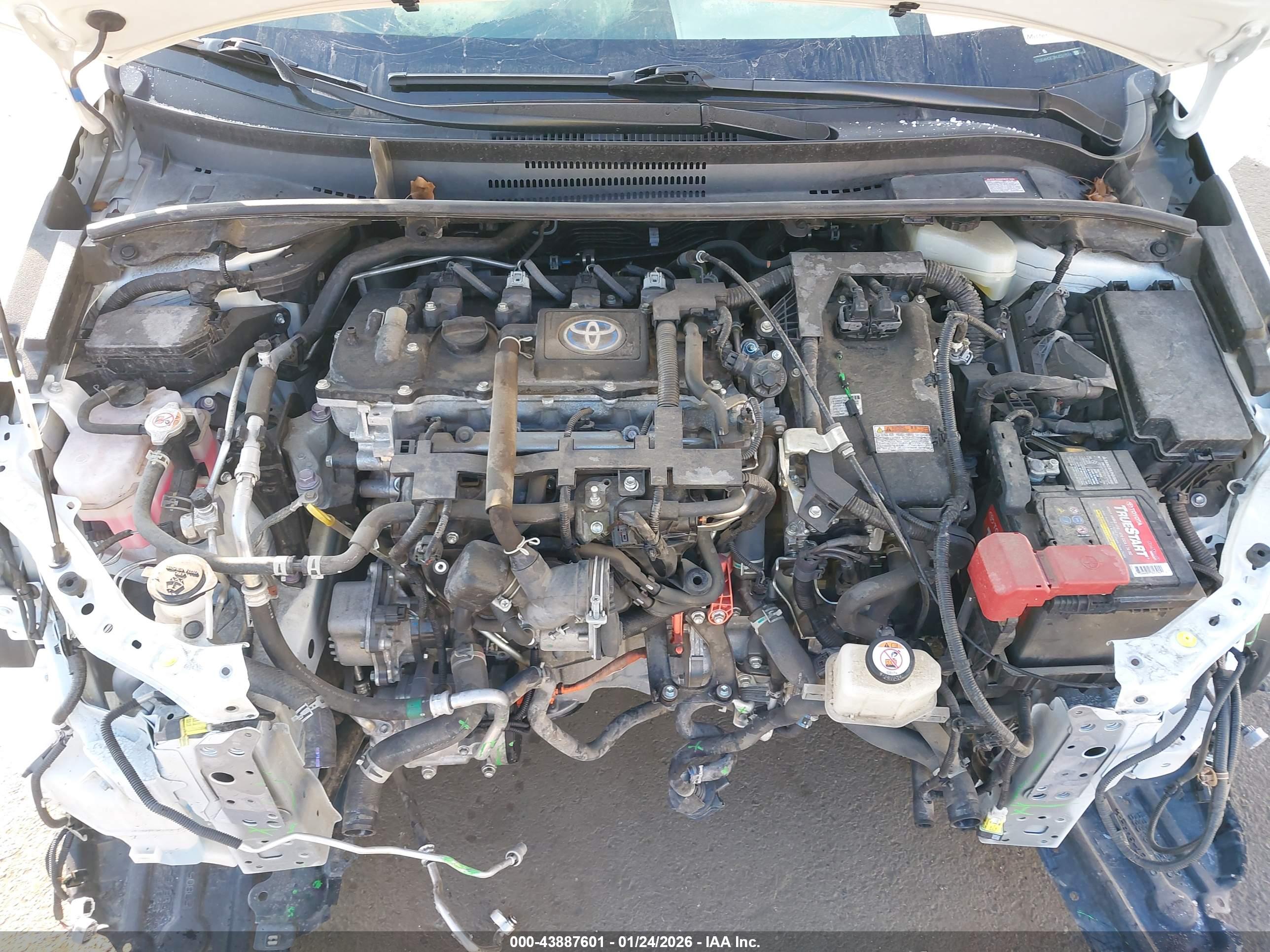 TOYOTA COROLLA image 10