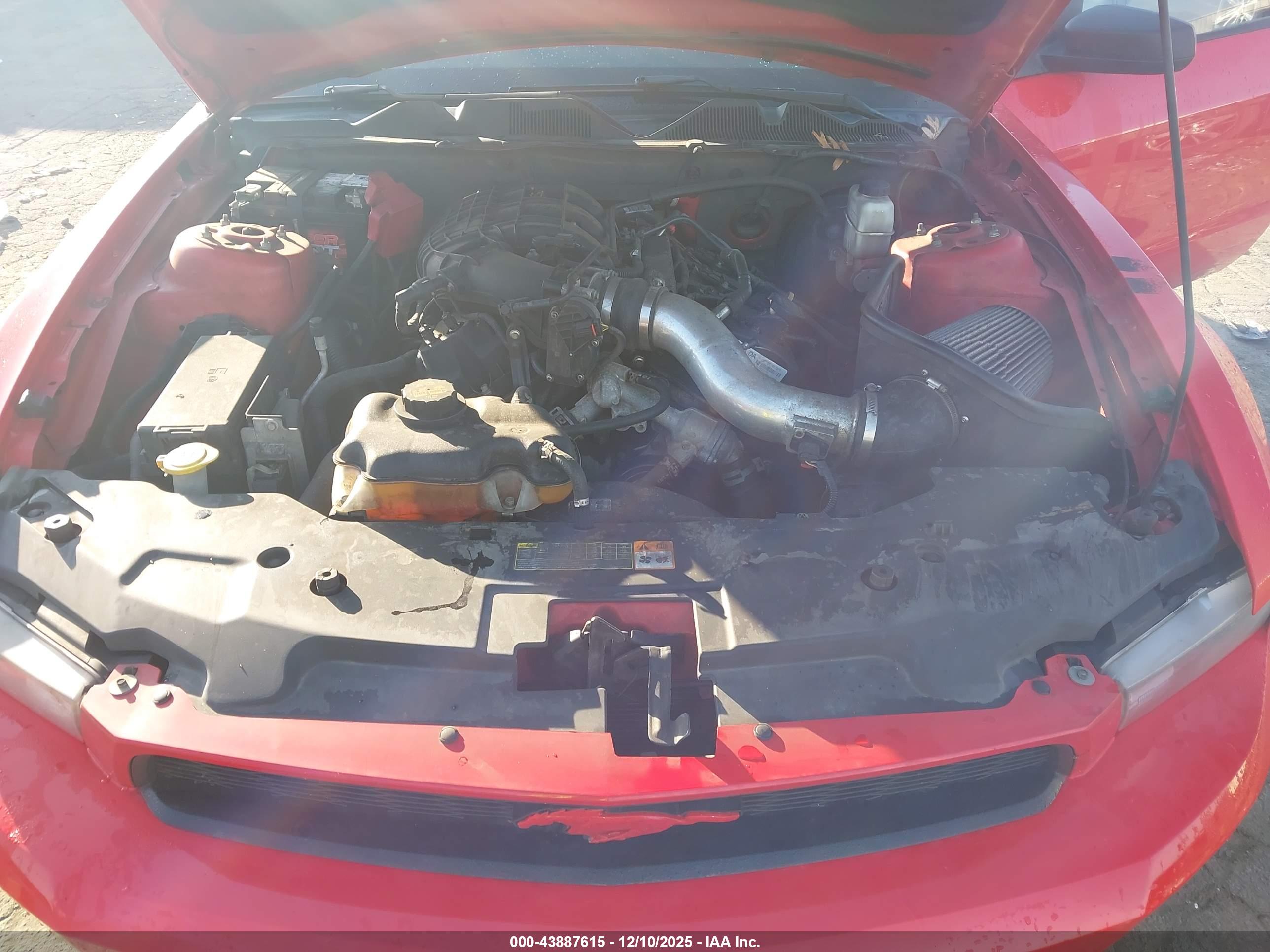 FORD MUSTANG image 10