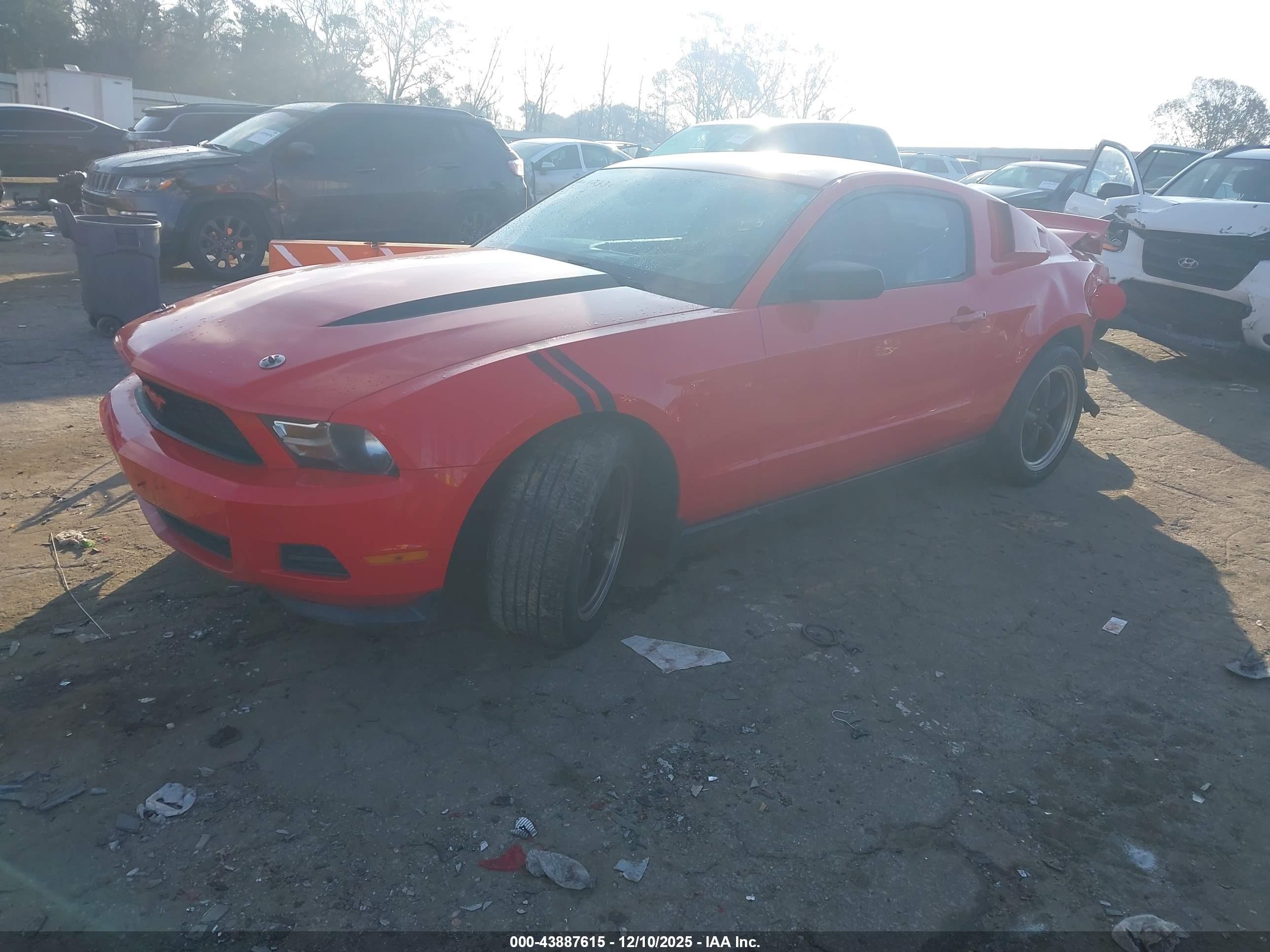 FORD MUSTANG image 2