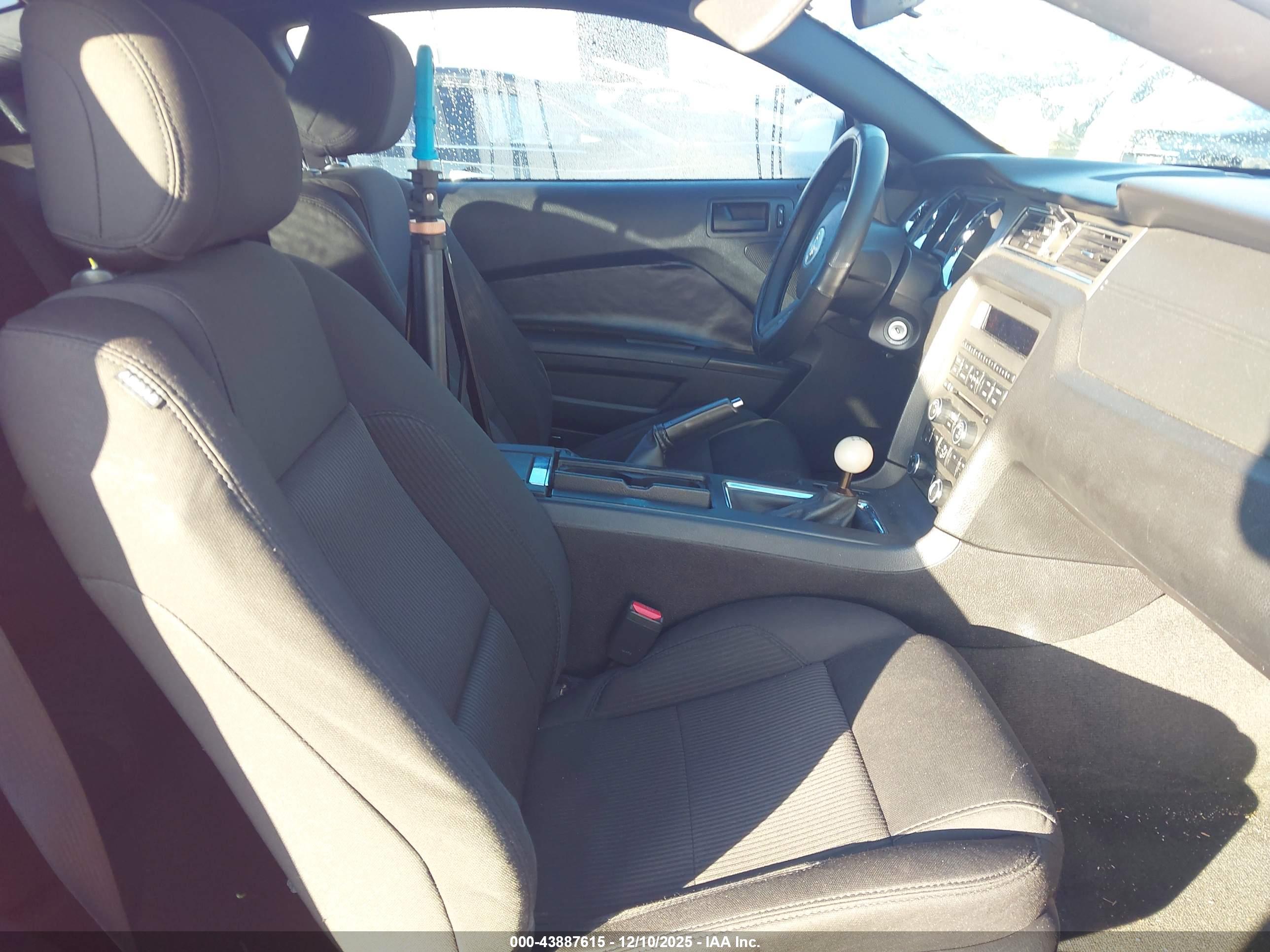 FORD MUSTANG image 5