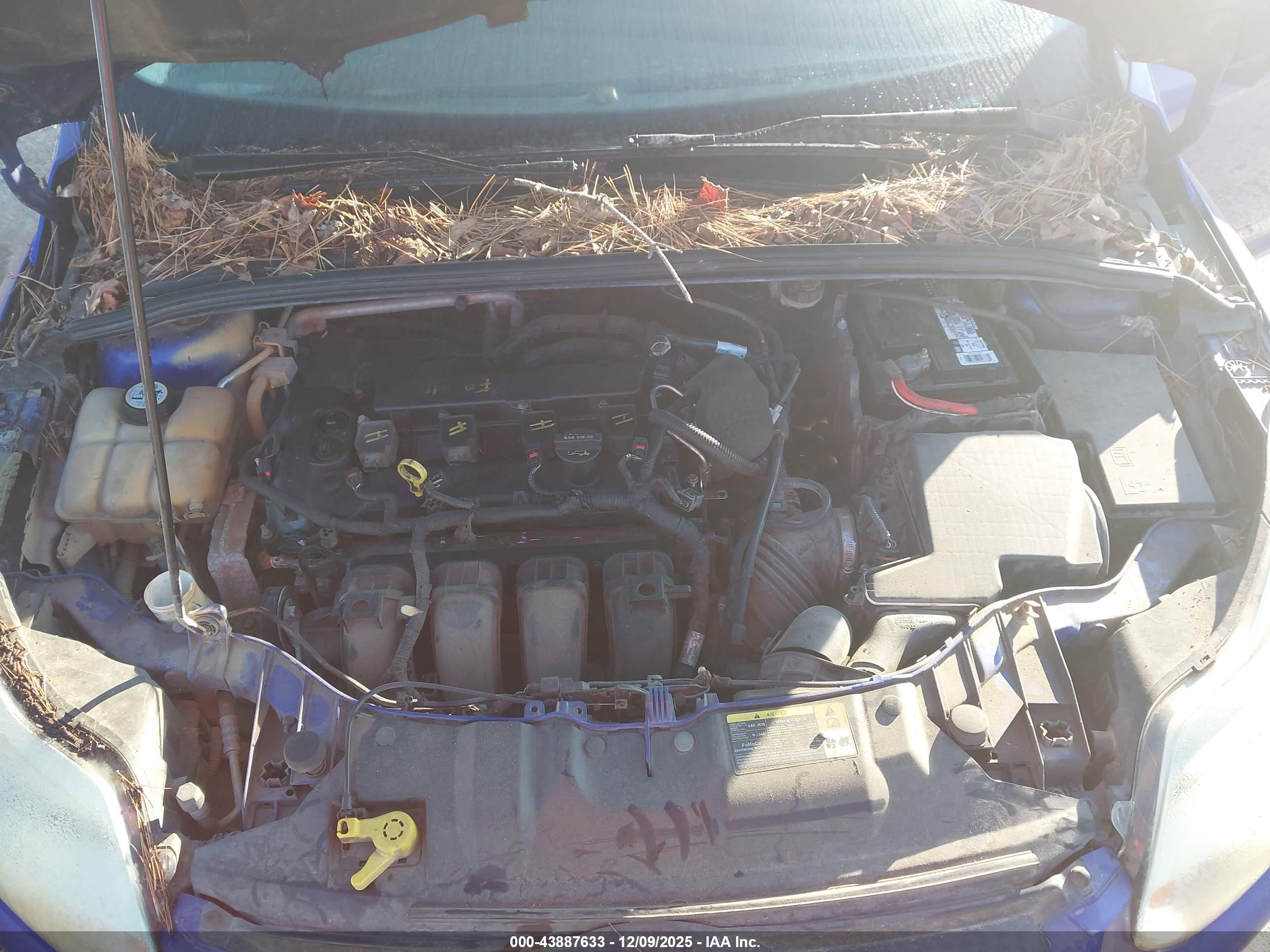 FORD FOCUS image 10