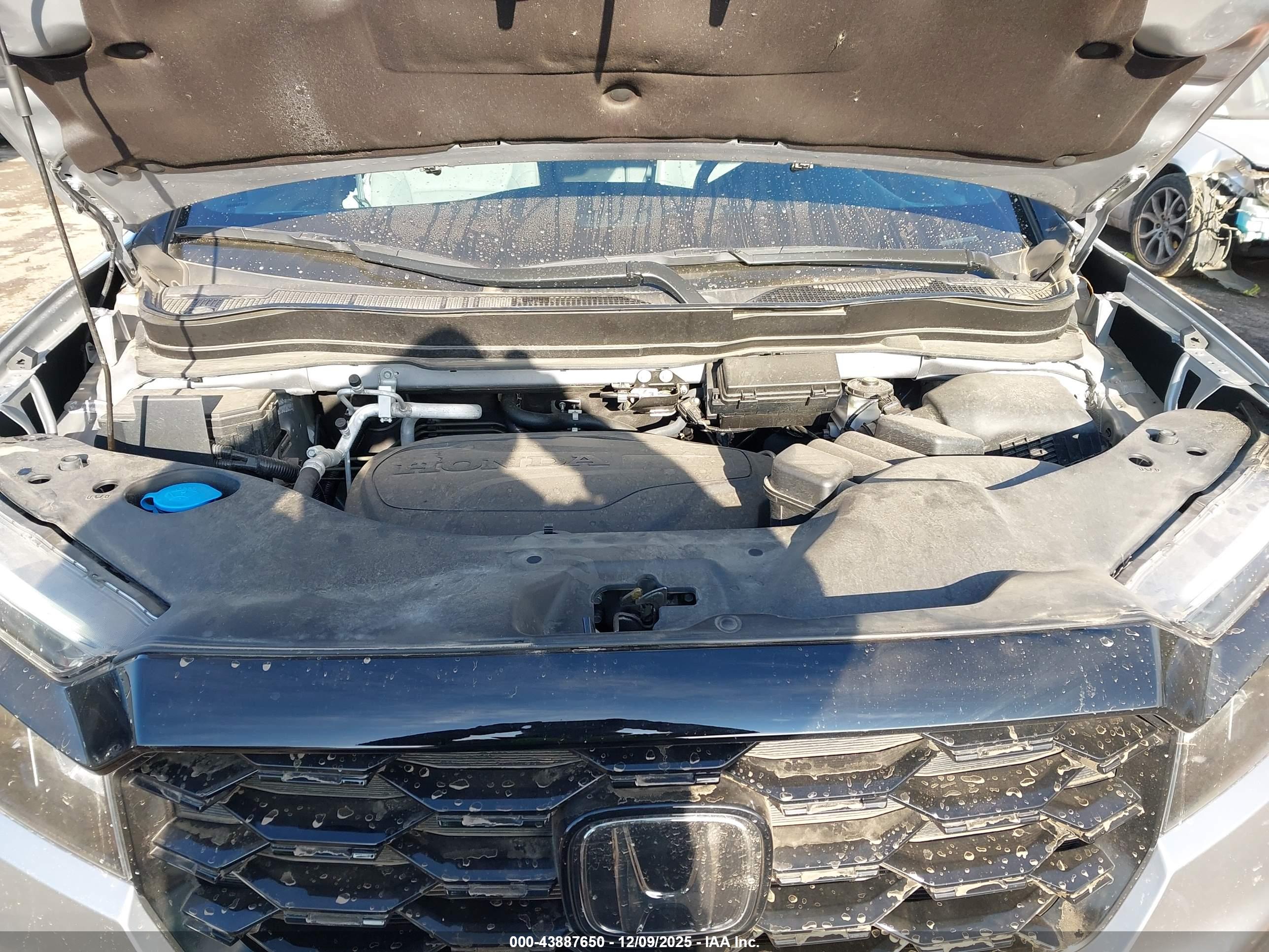 HONDA PASSPORT image 10