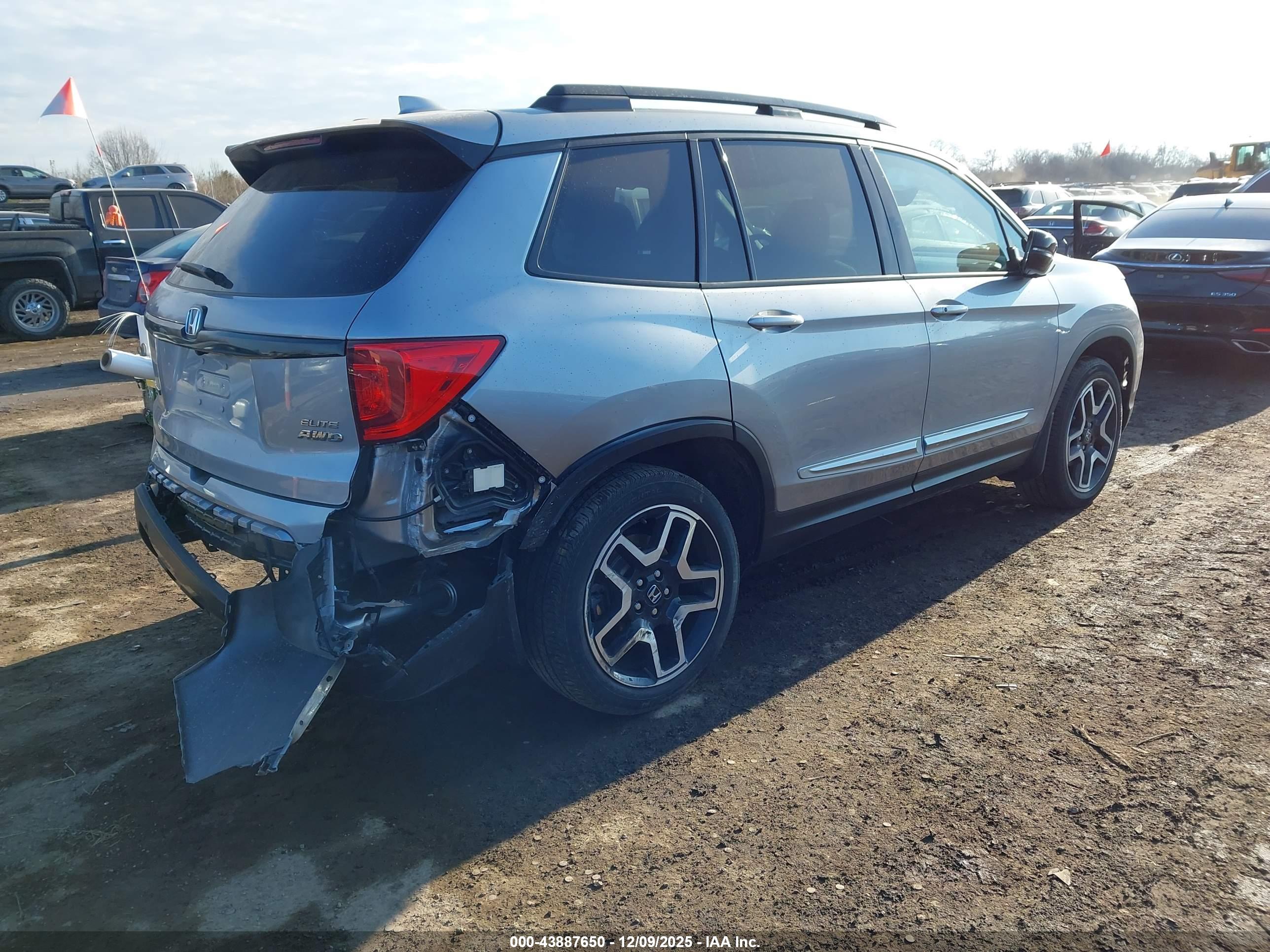 HONDA PASSPORT image 4