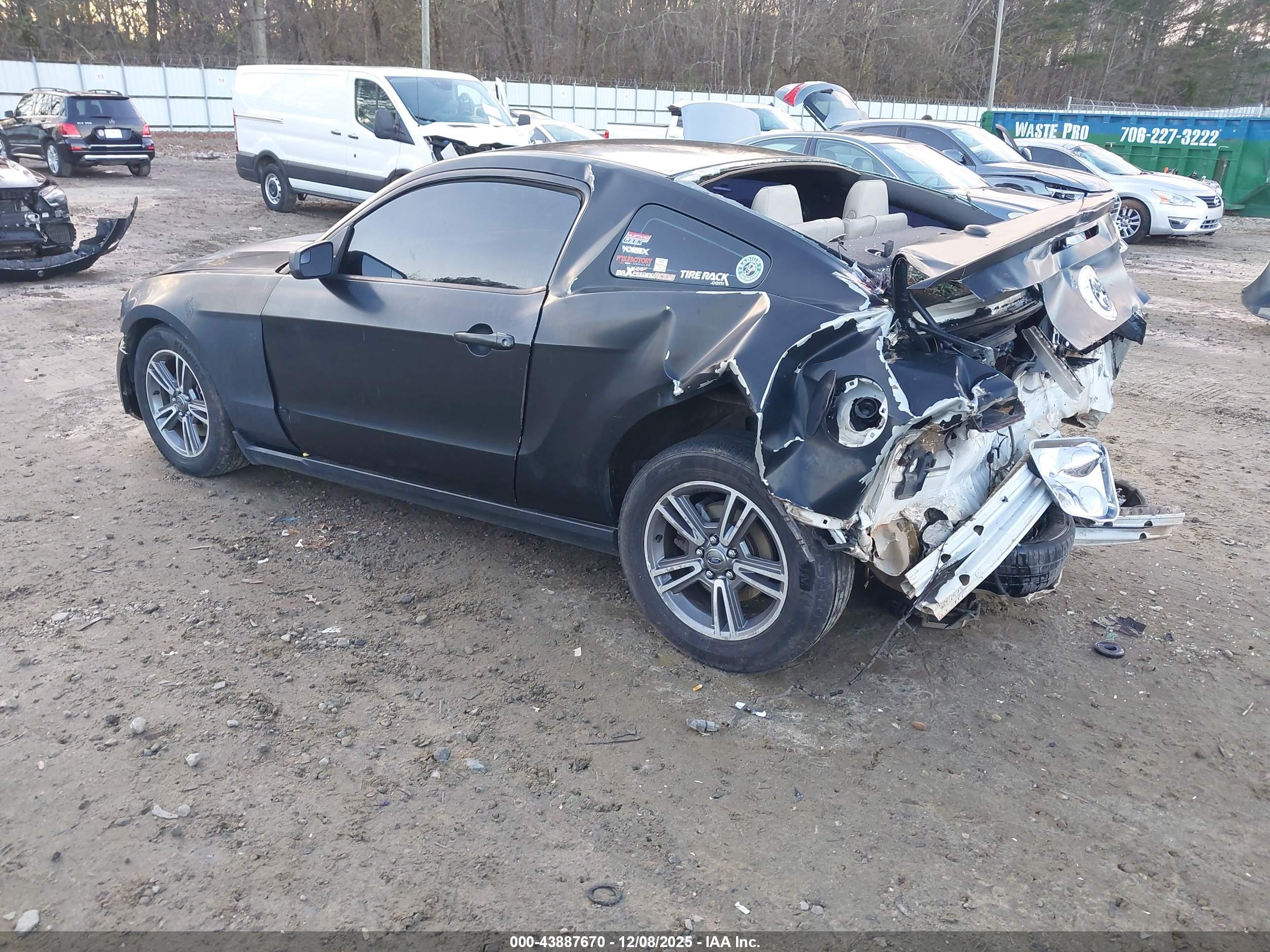 FORD MUSTANG image 3