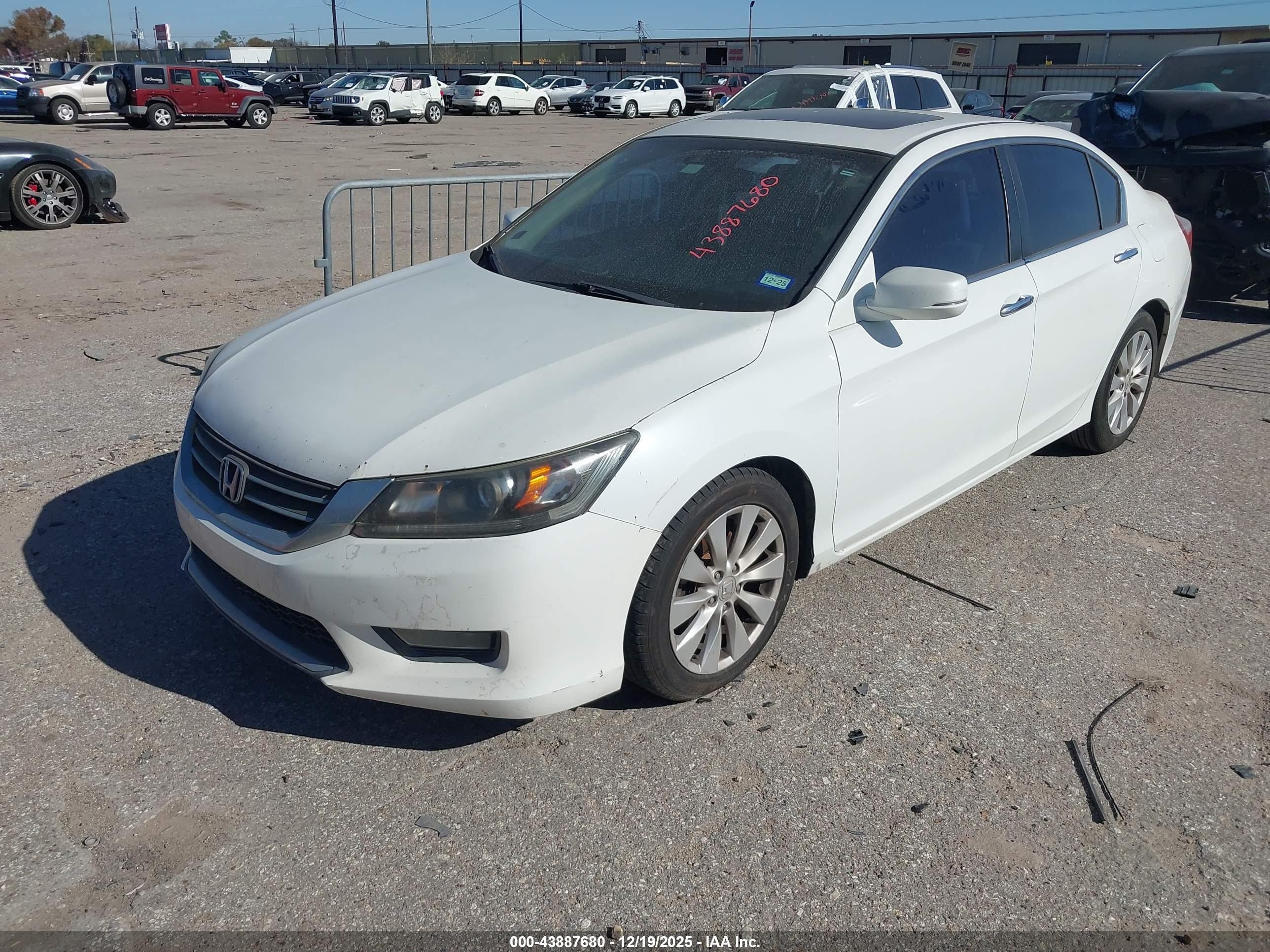 HONDA ACCORD image 2