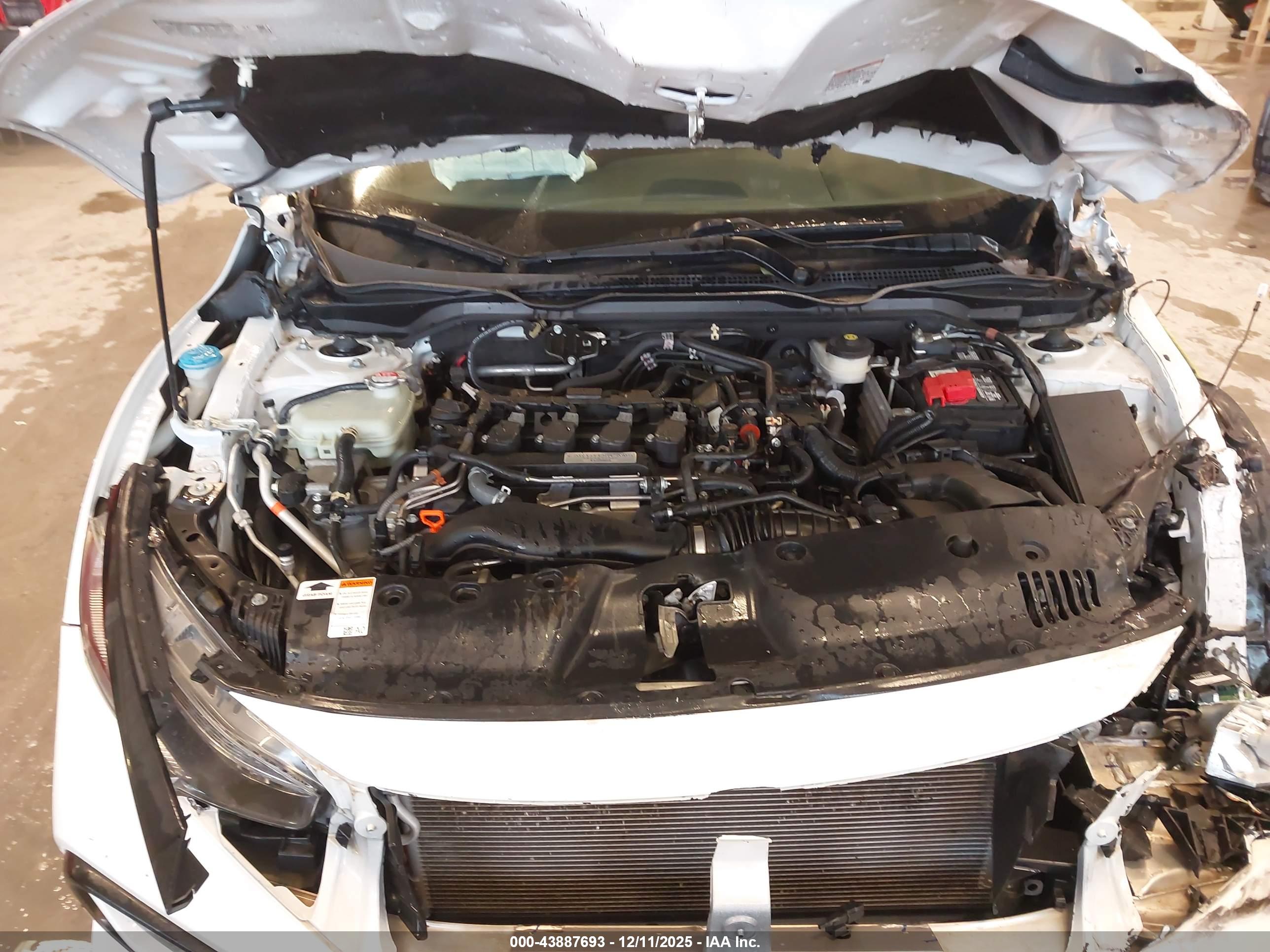 HONDA CIVIC image 10