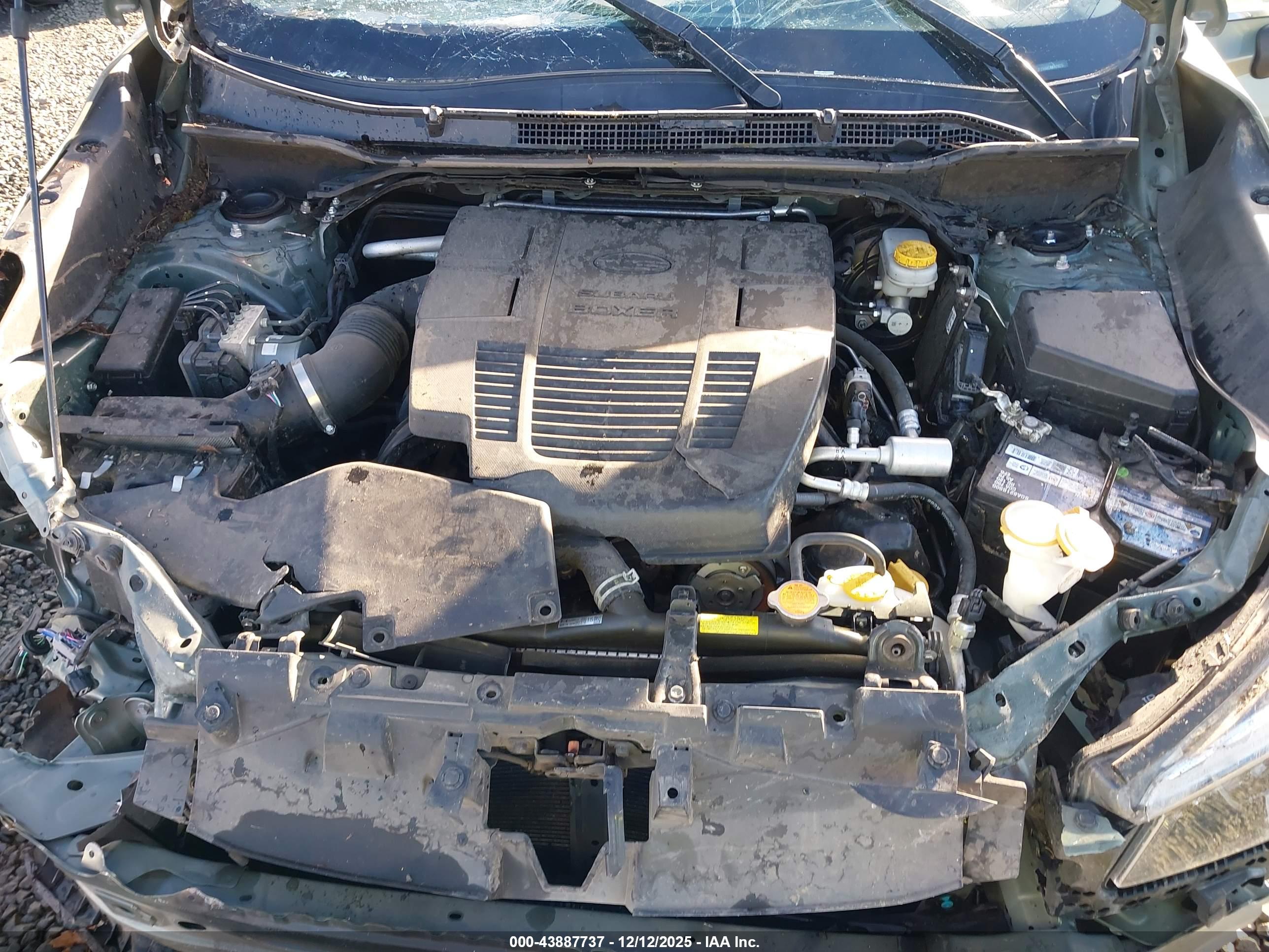 SUBARU FORESTER image 10