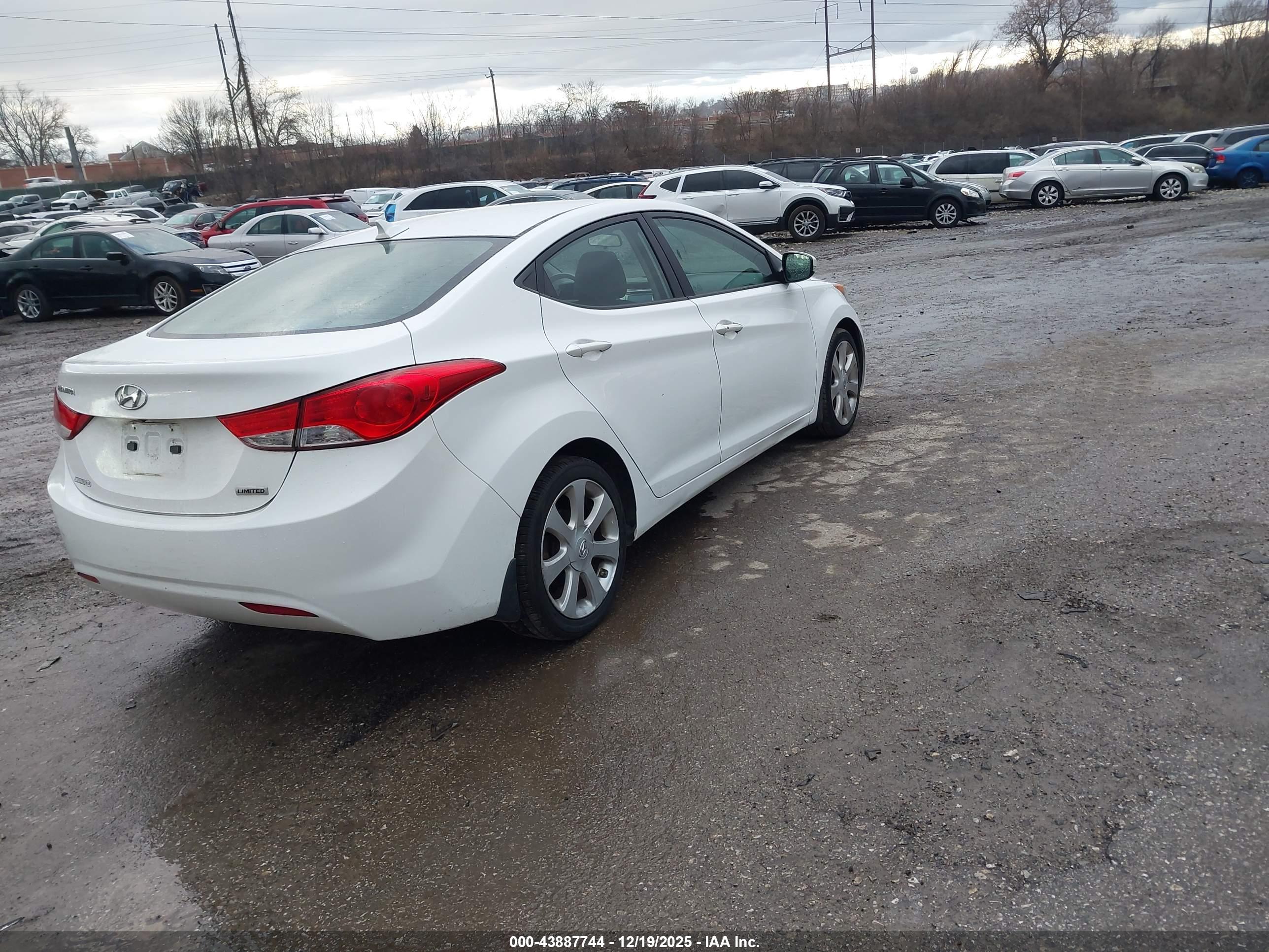 HYUNDAI ELANTRA image 4