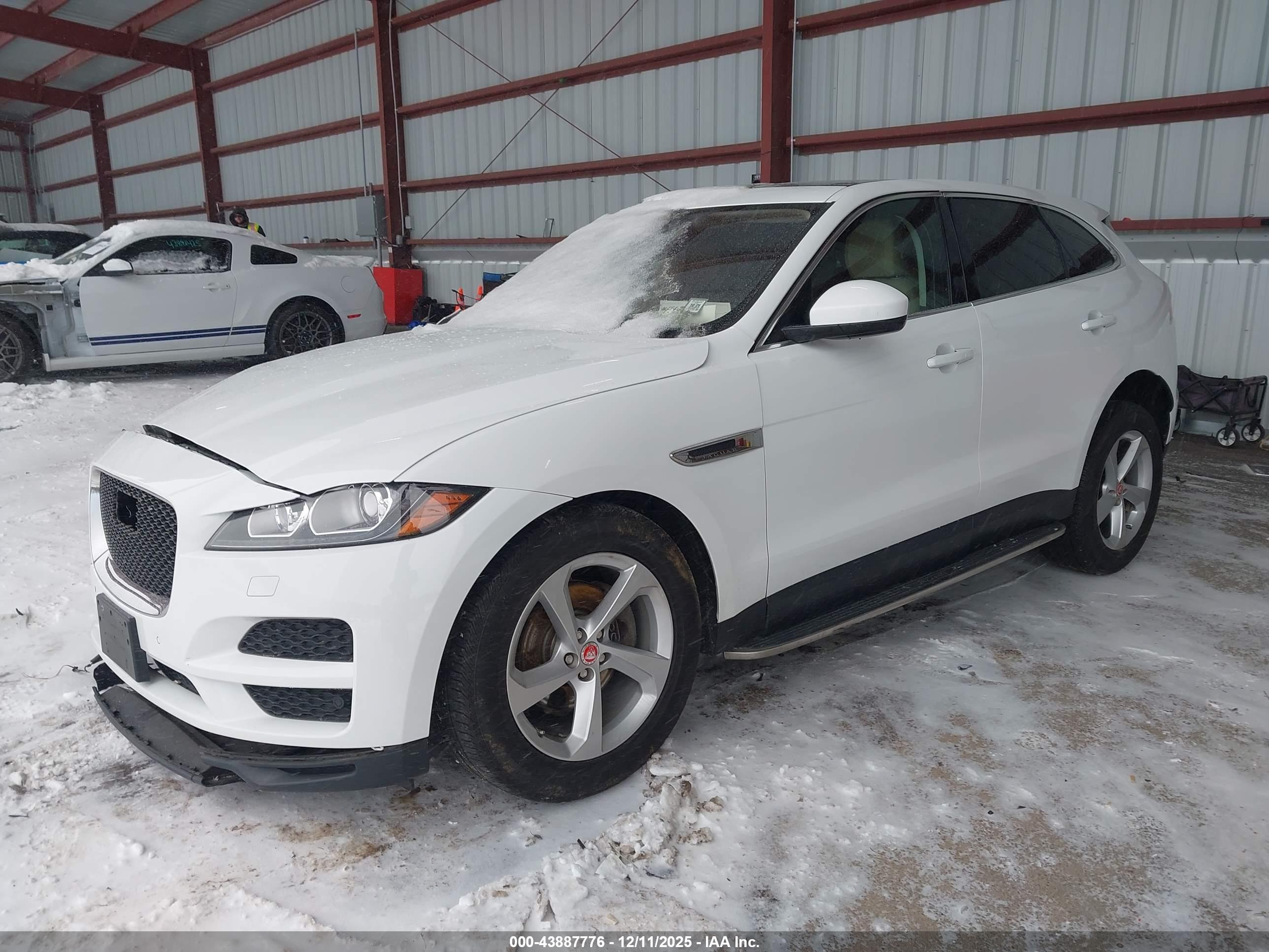 JAGUAR F-PACE image 2