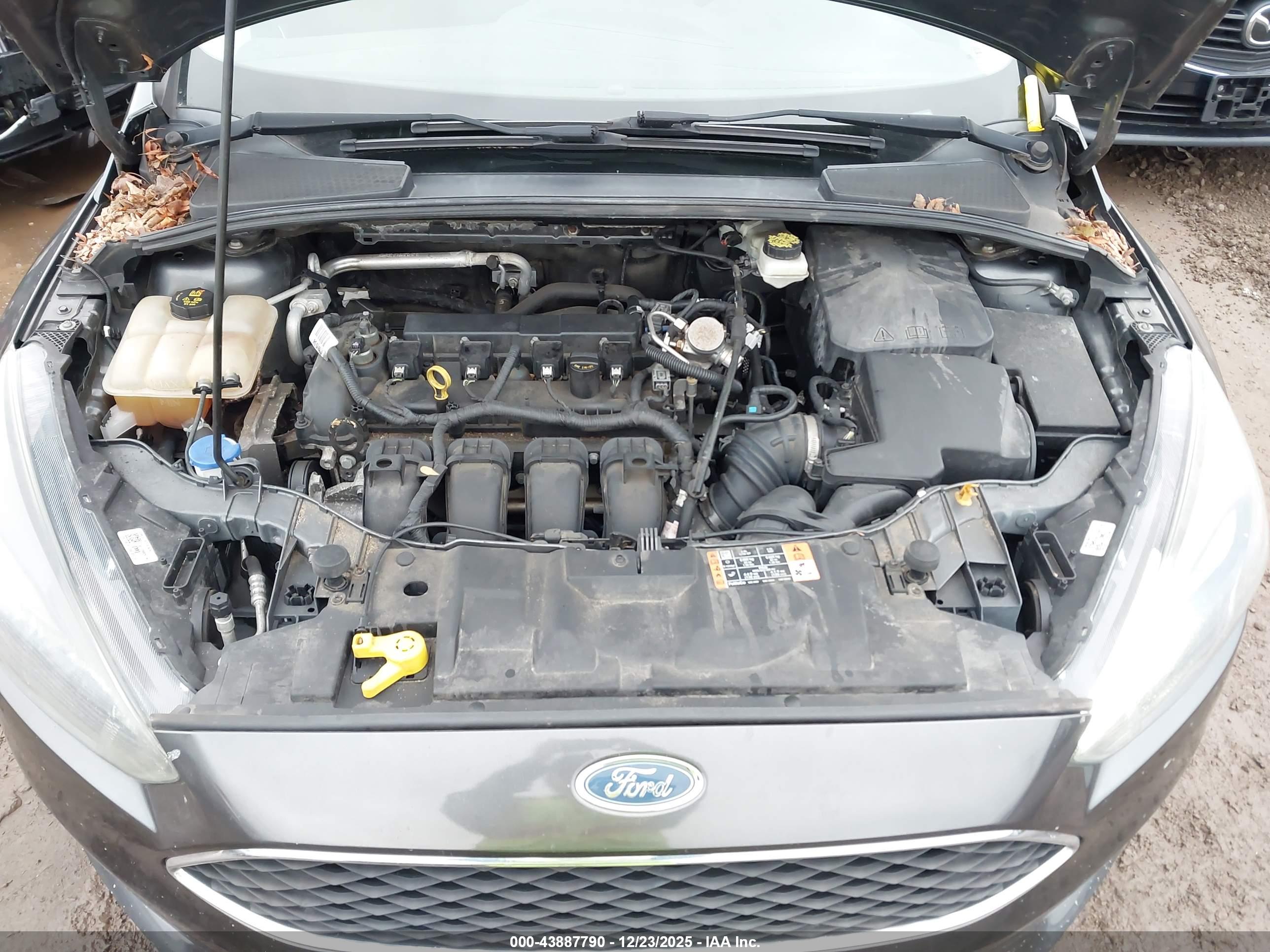 FORD FOCUS image 10