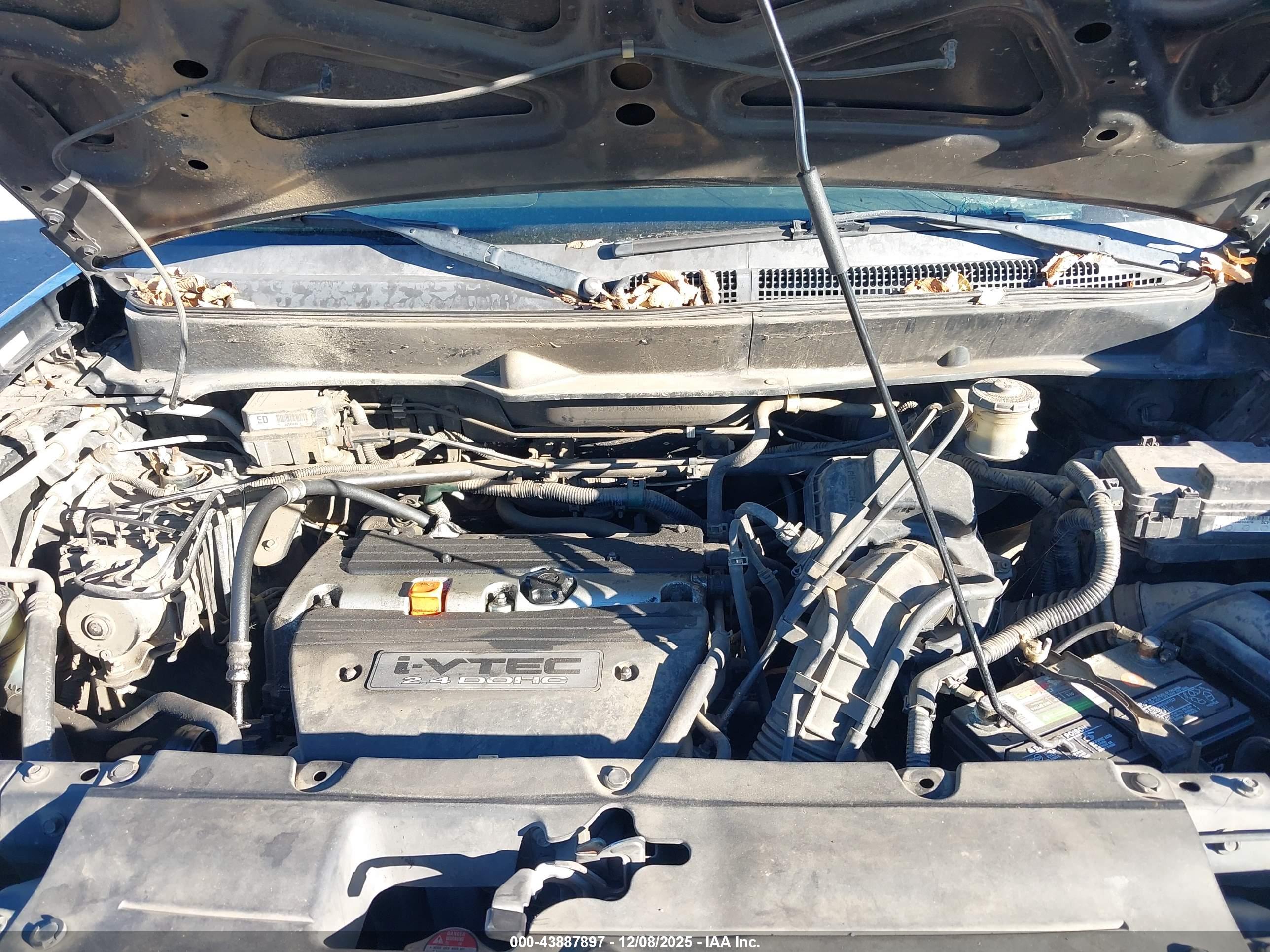 HONDA ELEMENT image 10