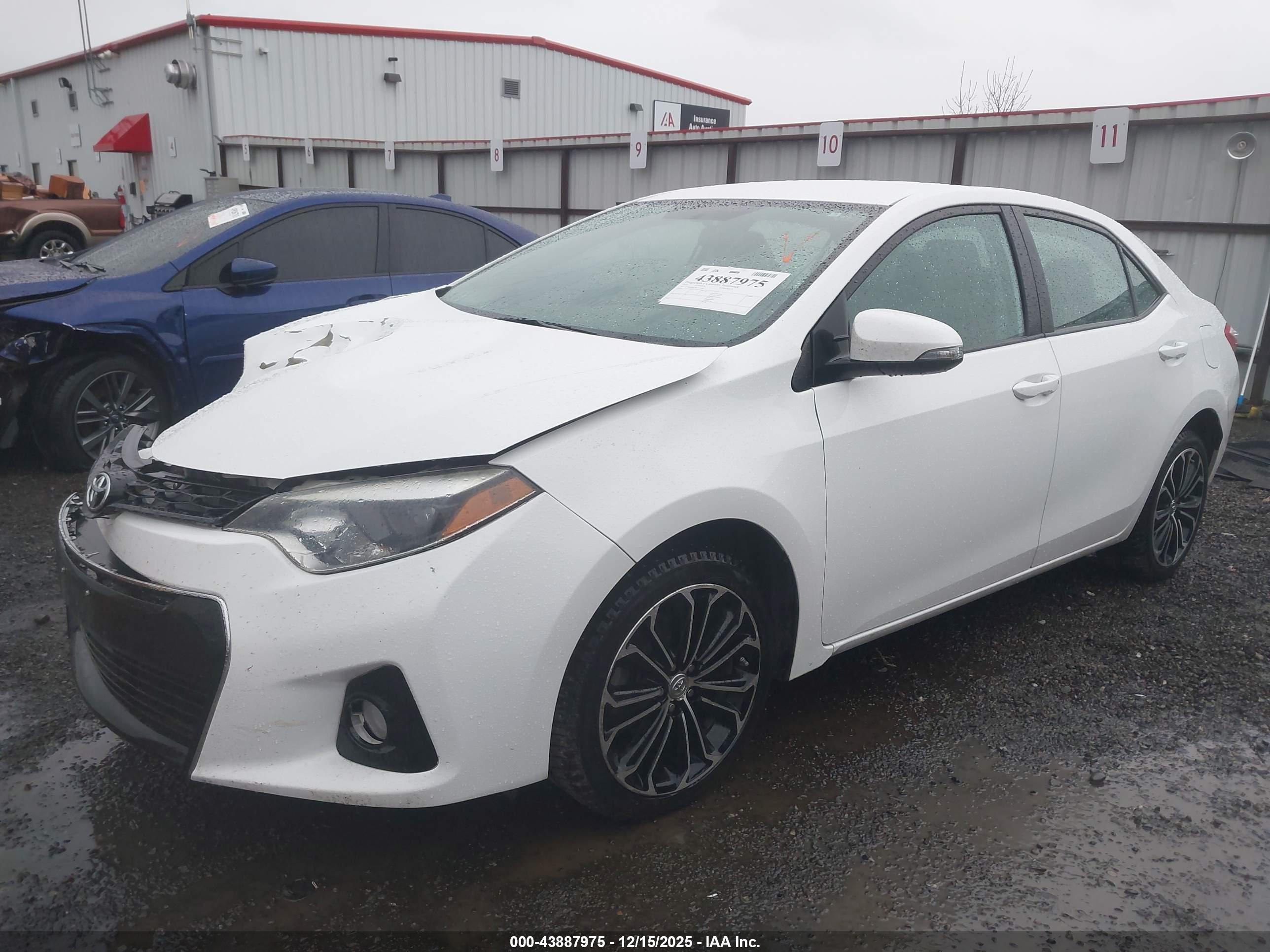 TOYOTA COROLLA image 2