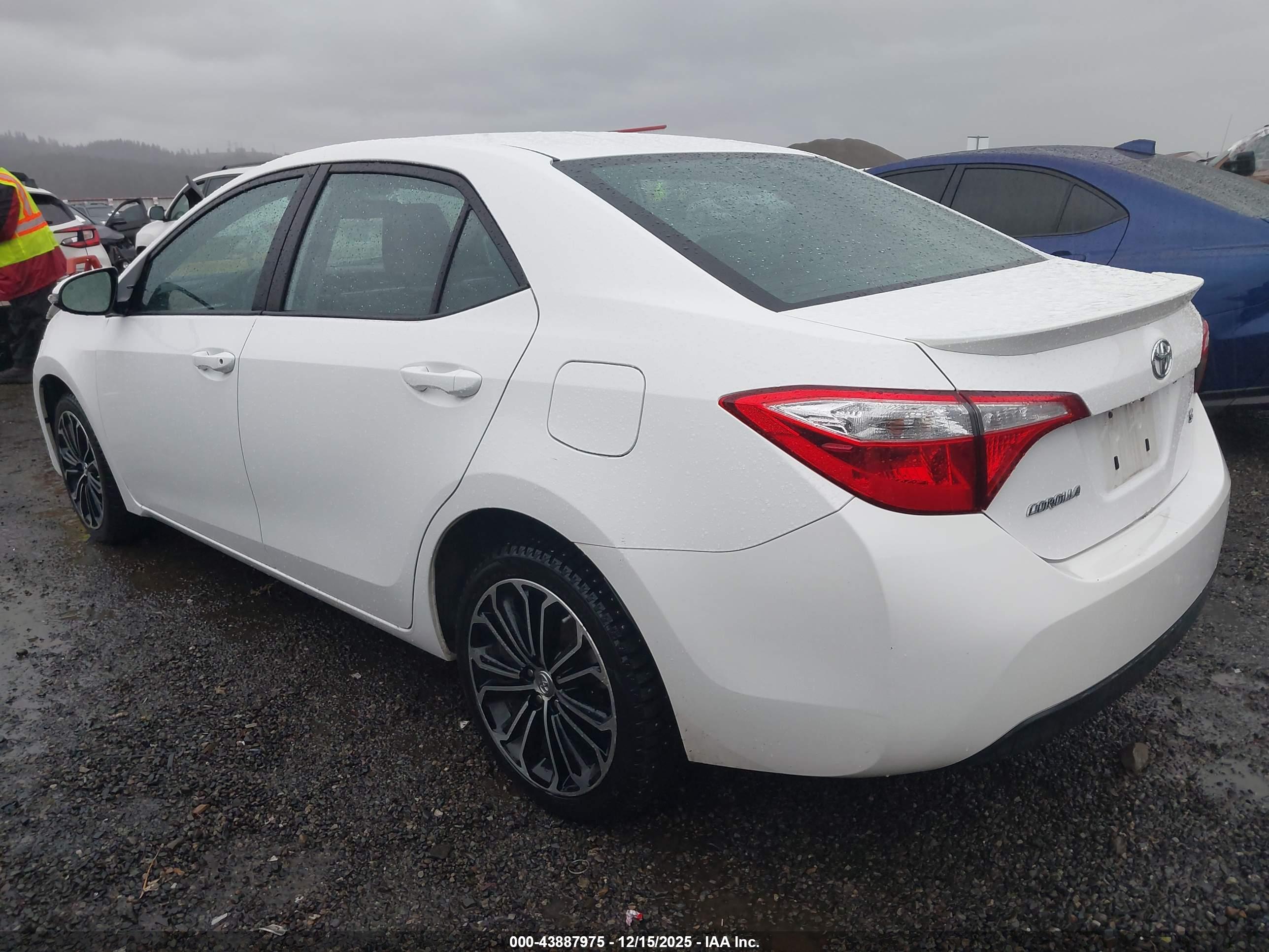 TOYOTA COROLLA image 3