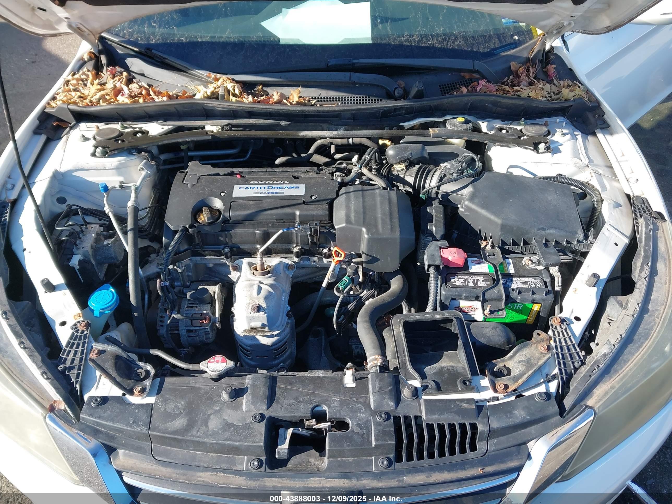 HONDA ACCORD image 10