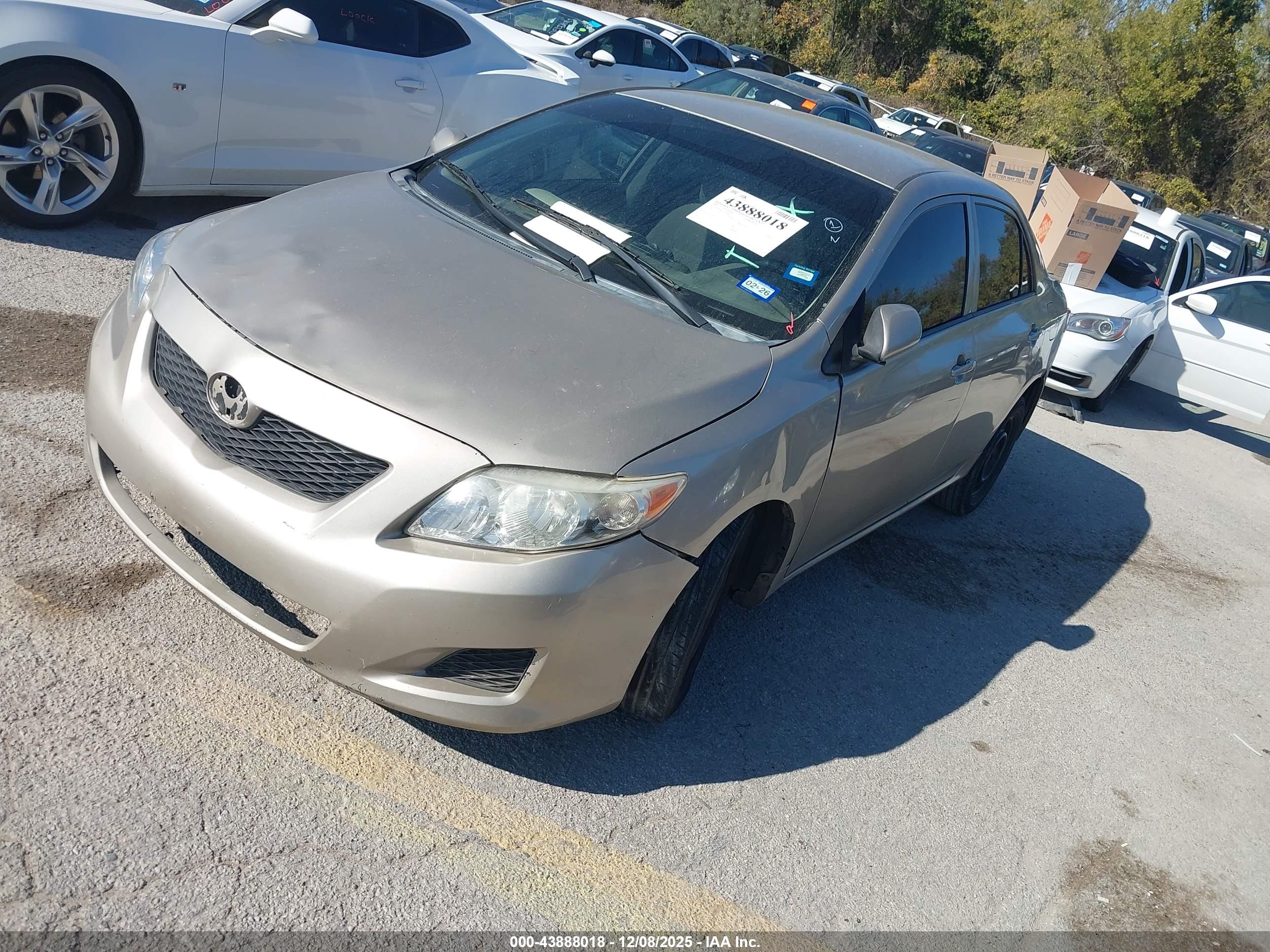 TOYOTA COROLLA image 2