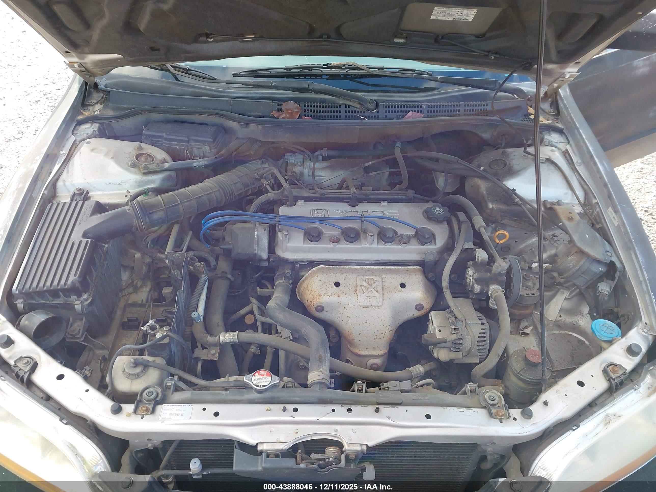 HONDA ACCORD image 10
