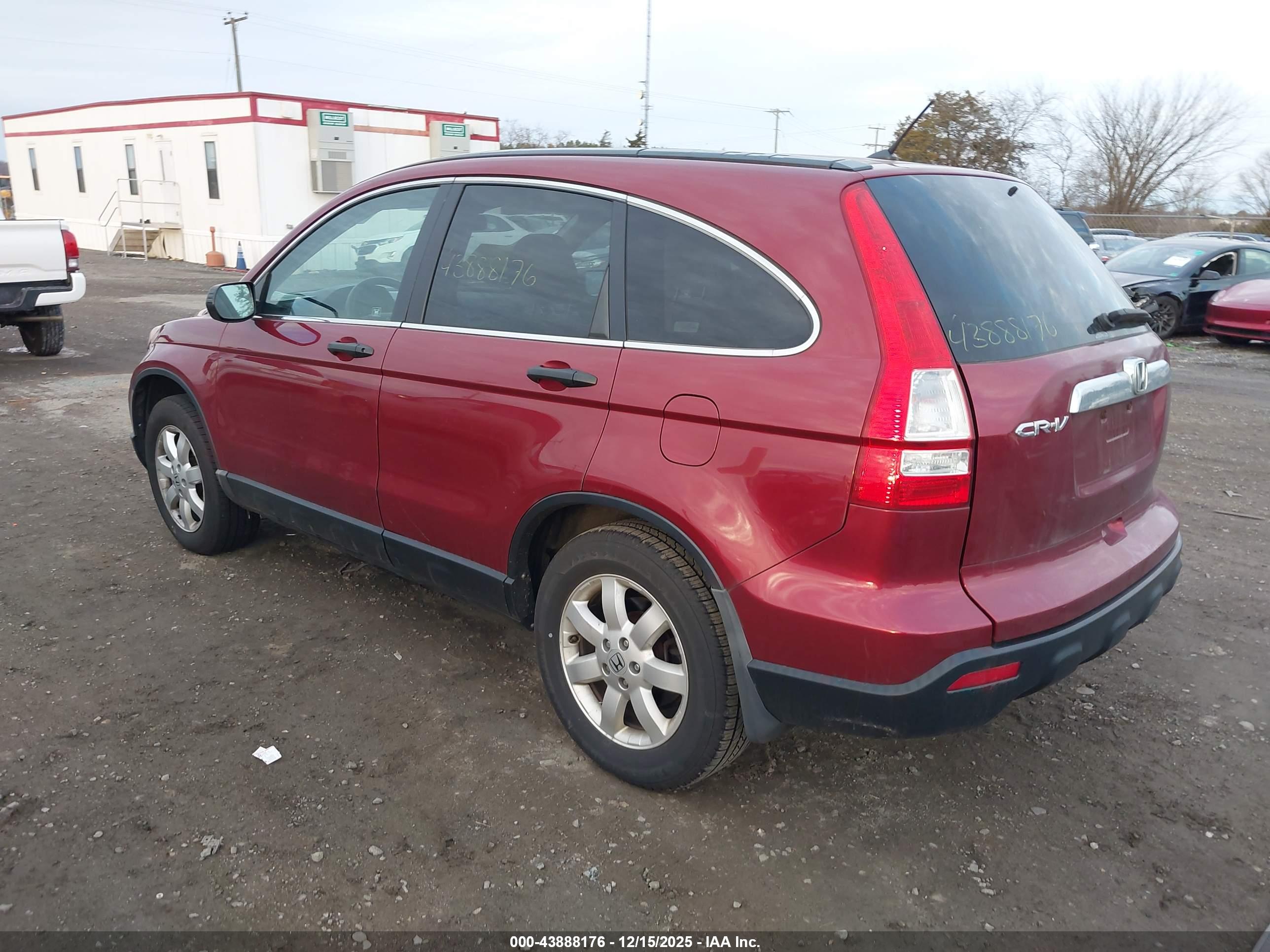 HONDA CR-V image 3