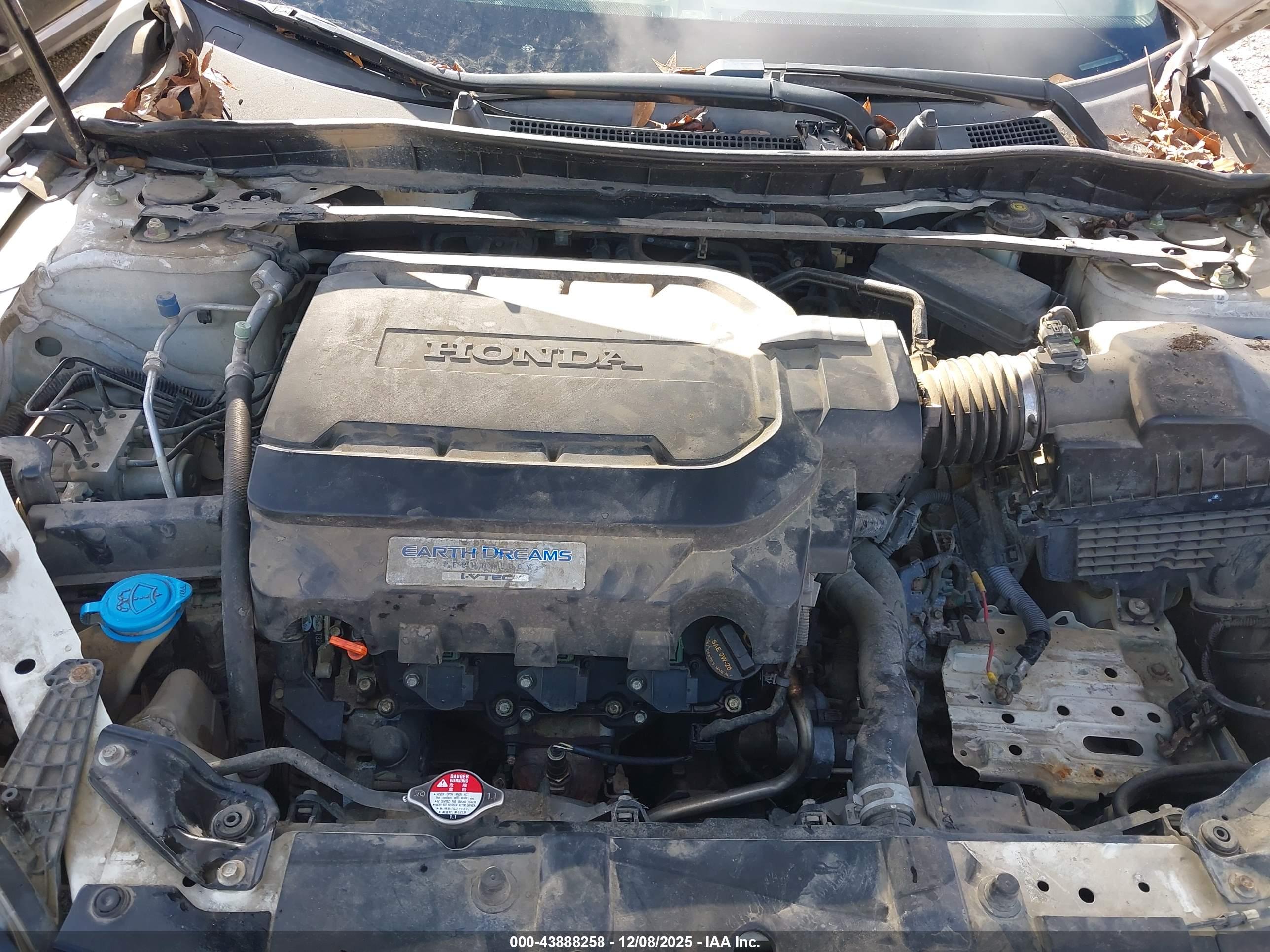 HONDA ACCORD image 10