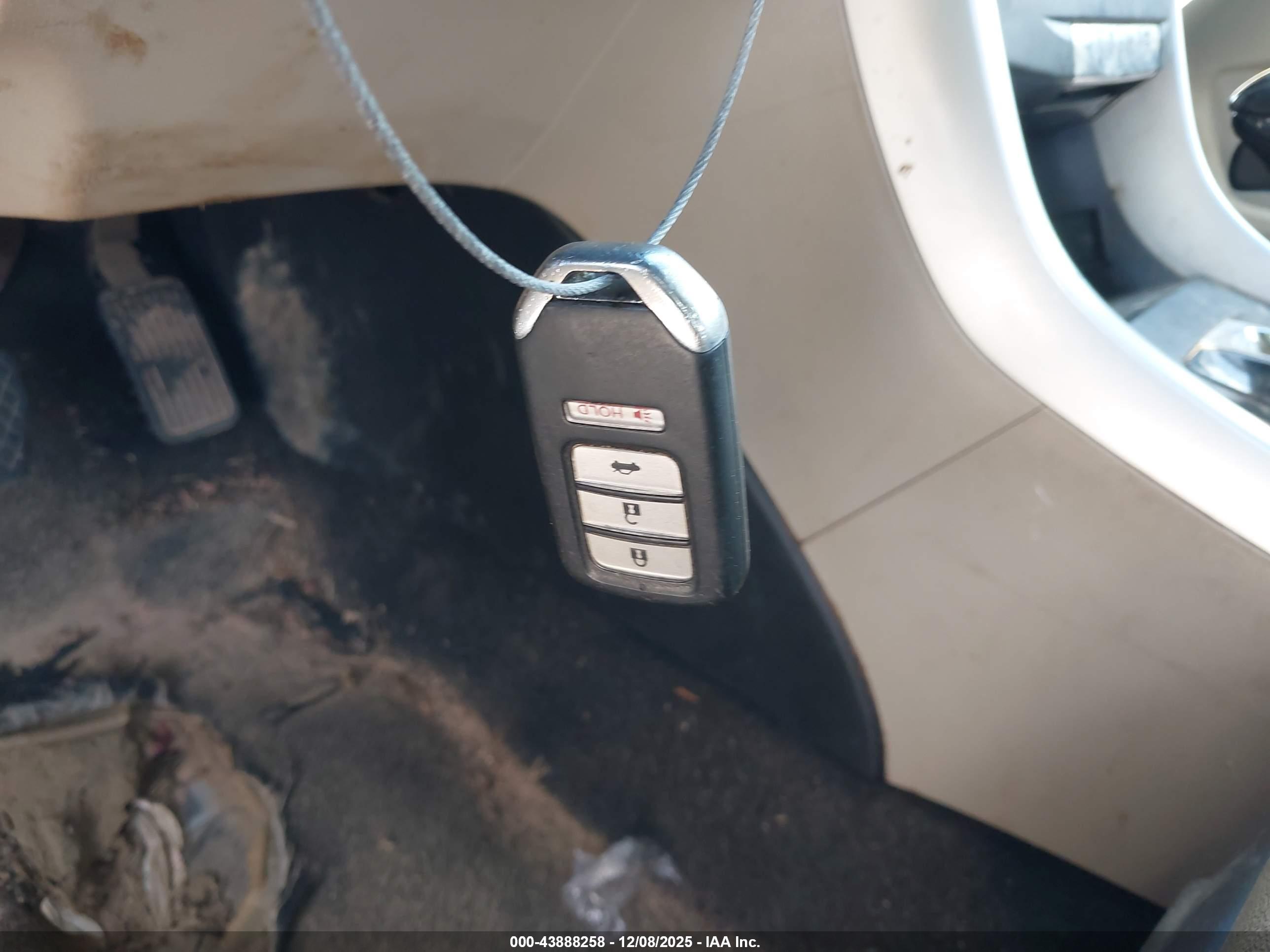 HONDA ACCORD image 11