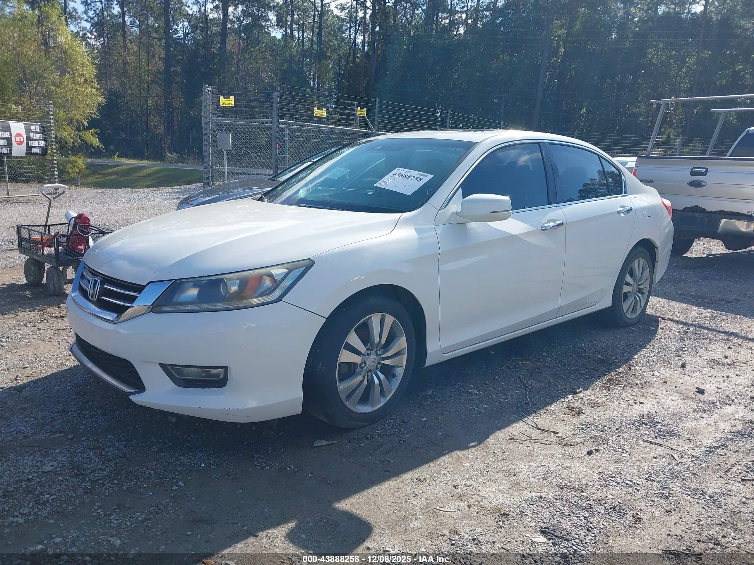 HONDA ACCORD image 2