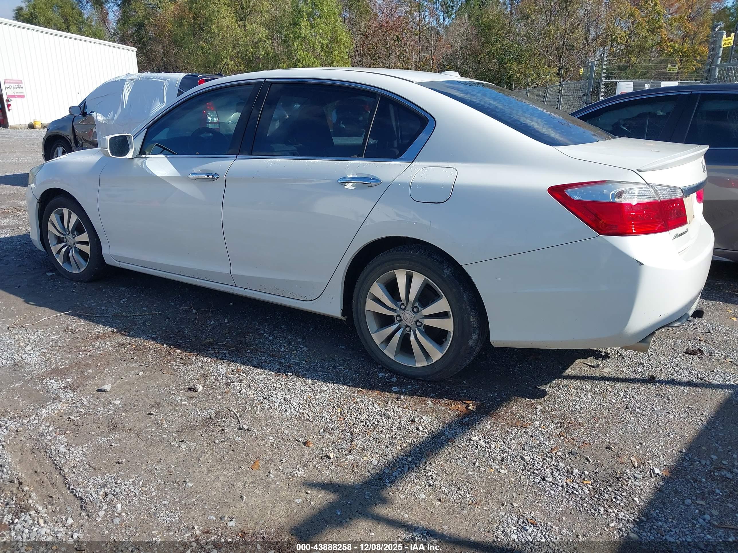 HONDA ACCORD image 3
