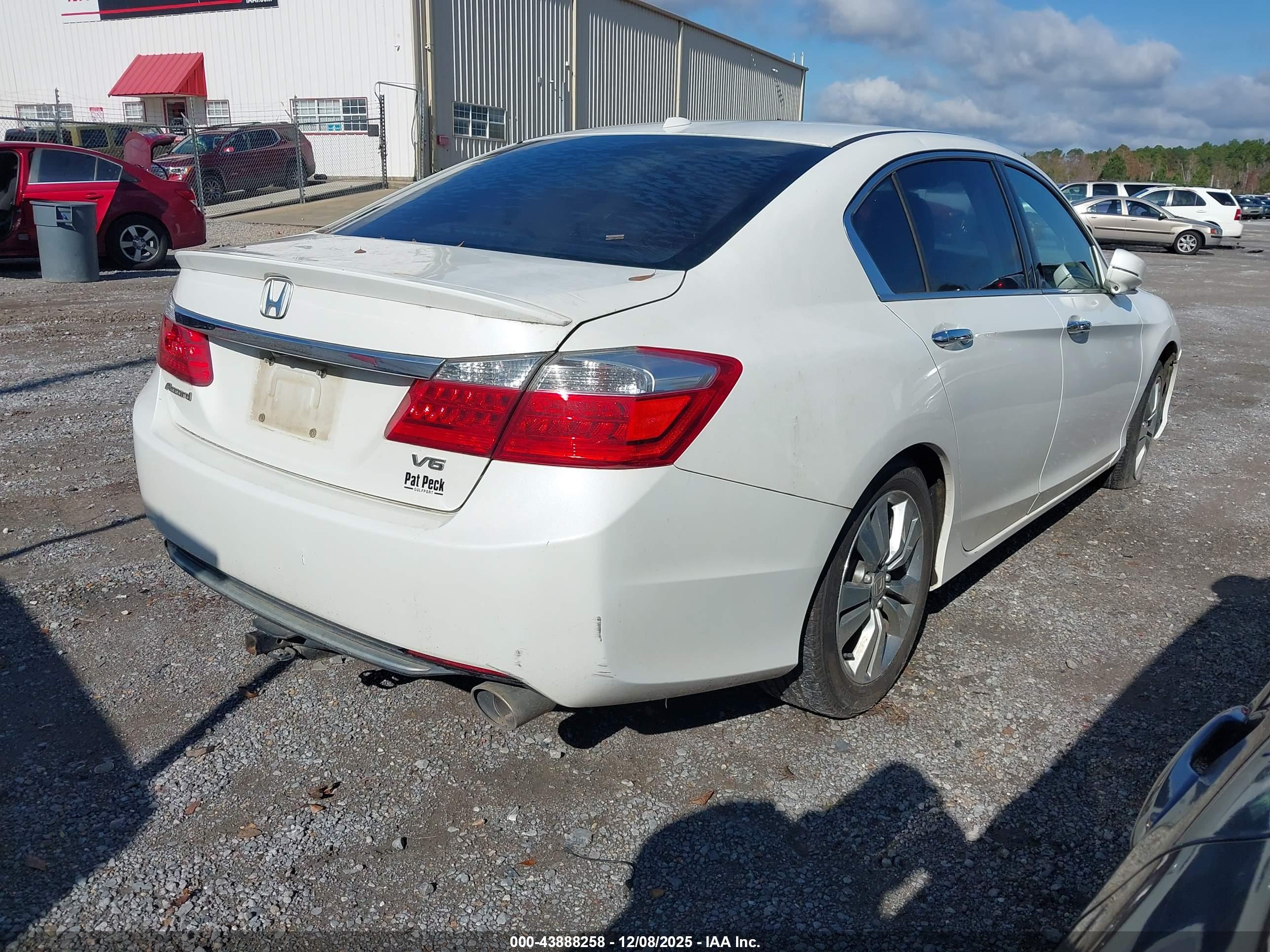 HONDA ACCORD image 4