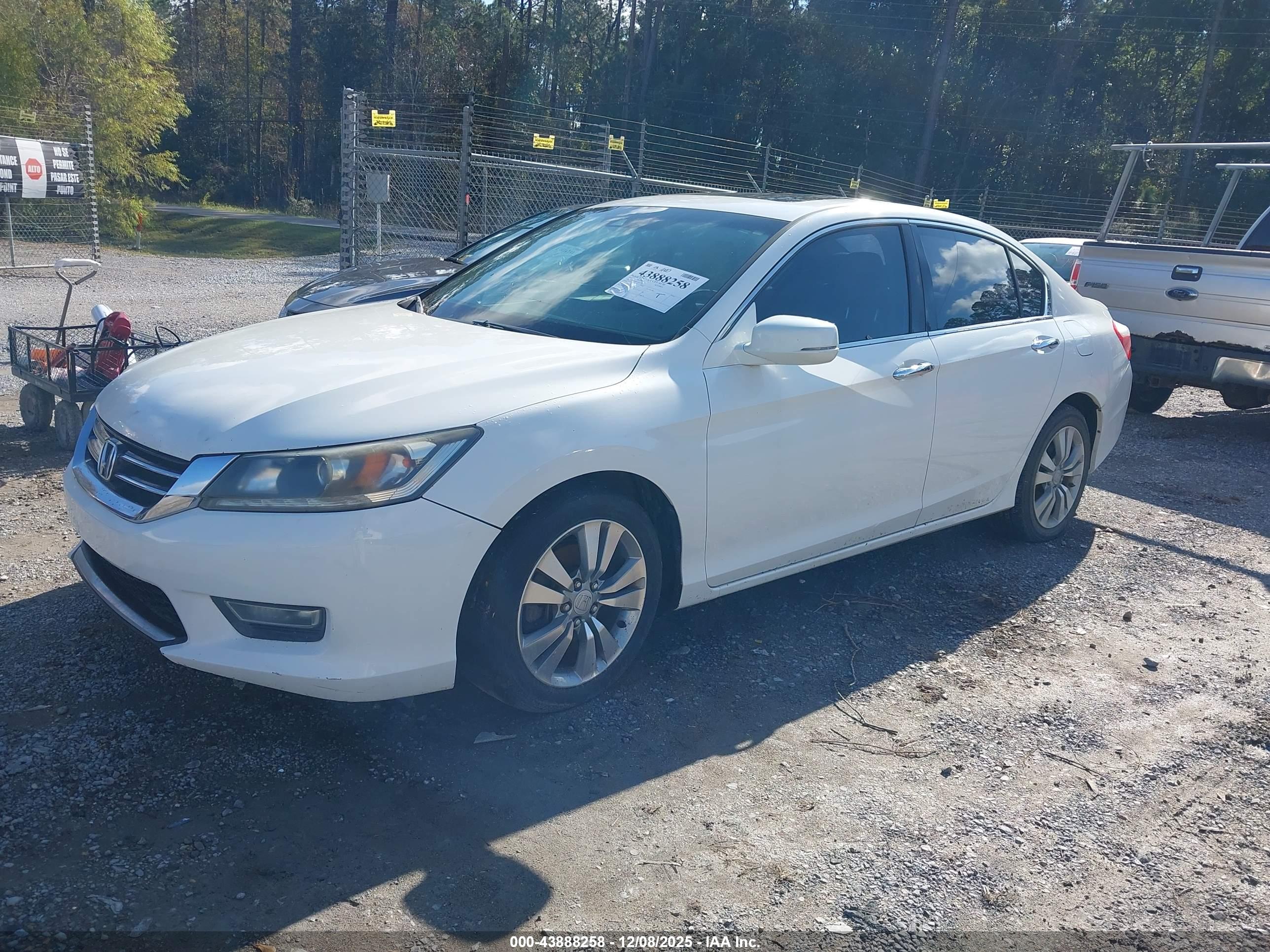 HONDA ACCORD image 6