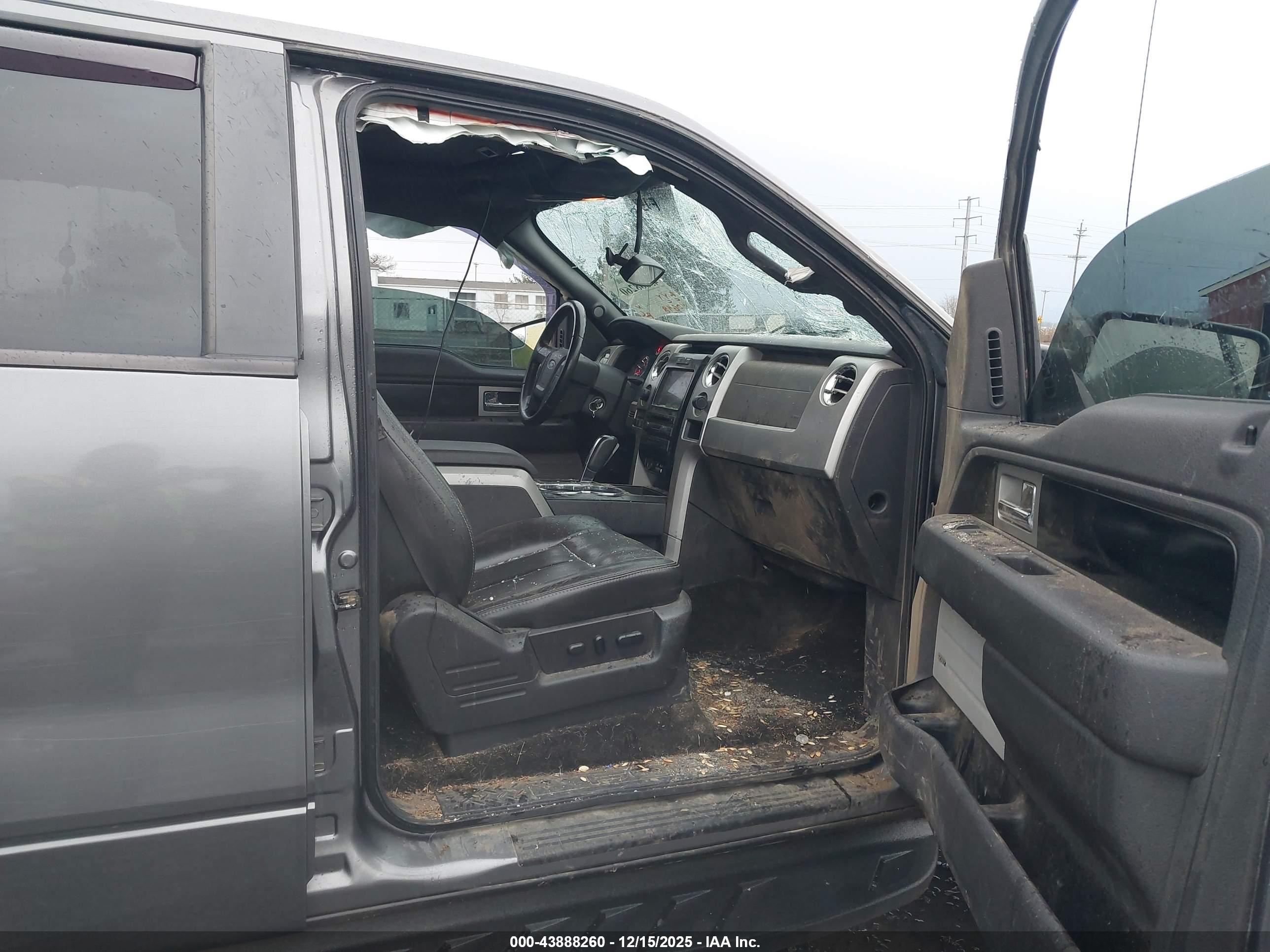 FORD F-150 image 5