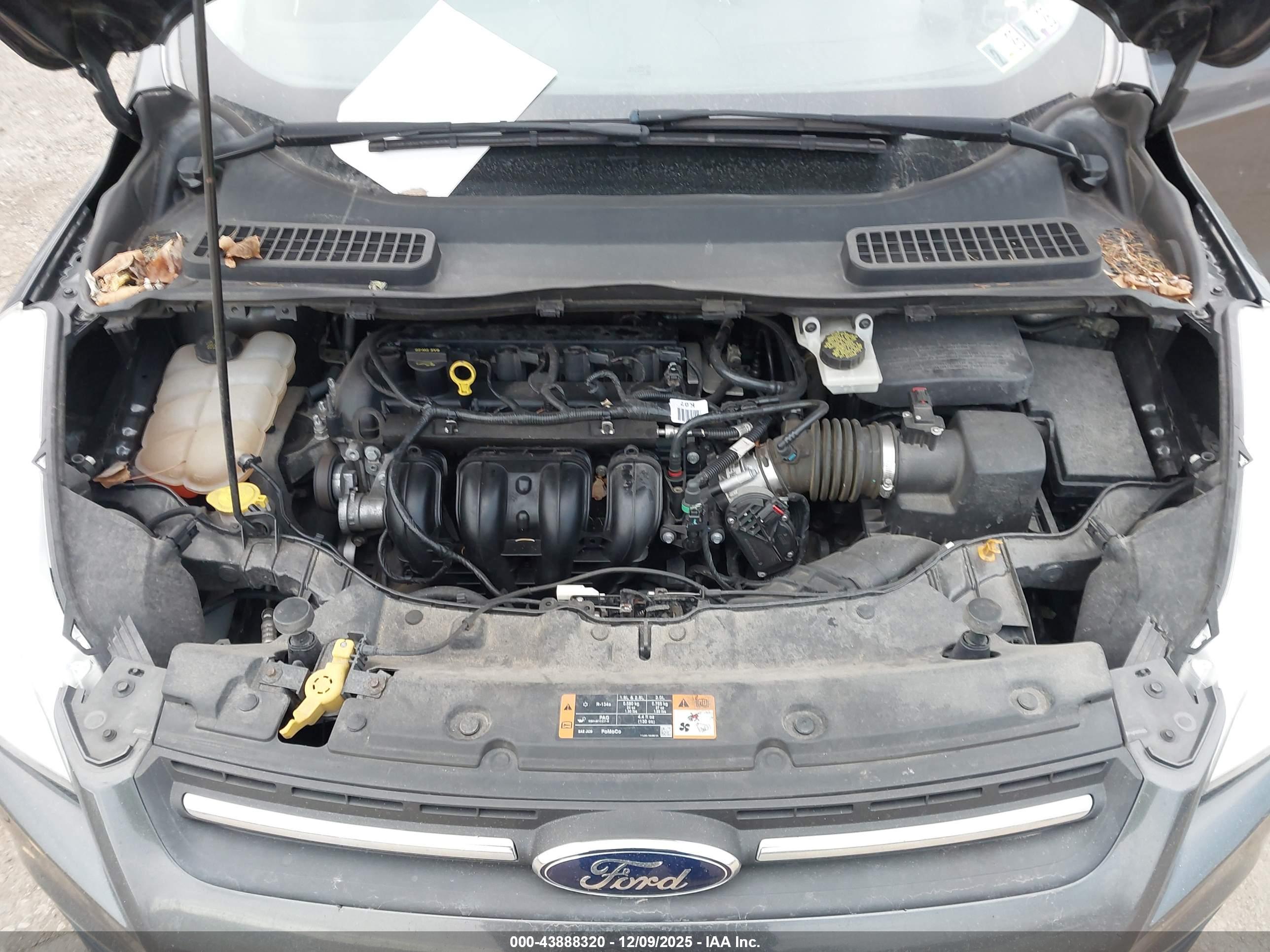 FORD ESCAPE image 10