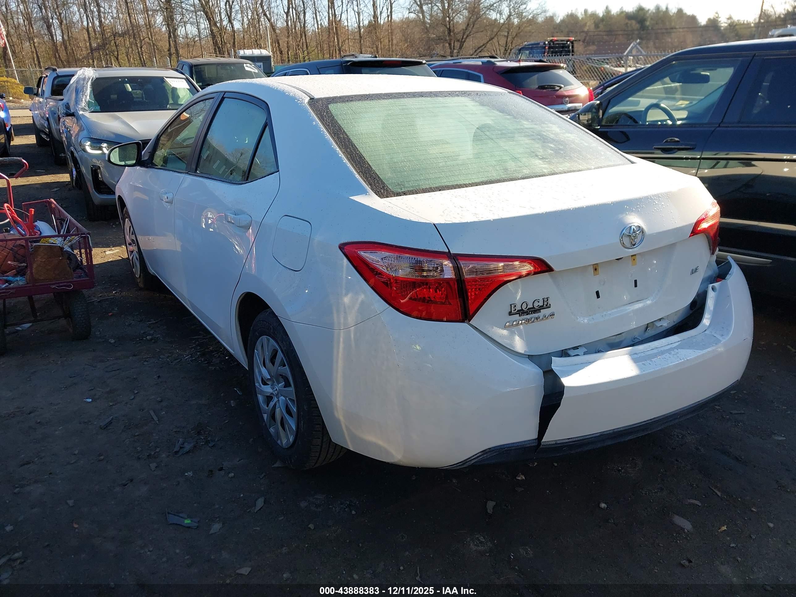 TOYOTA COROLLA image 3