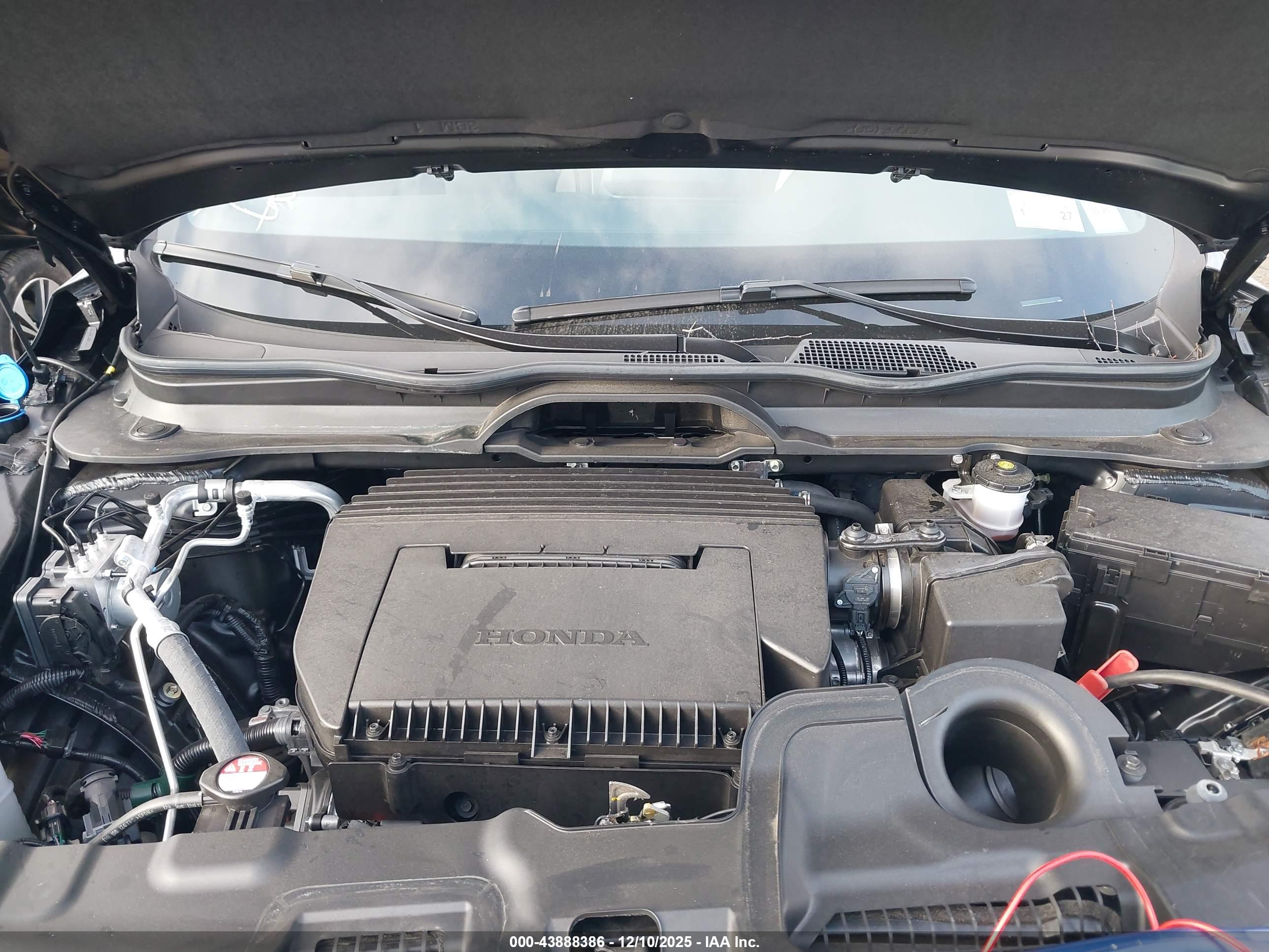 HONDA PASSPORT image 10