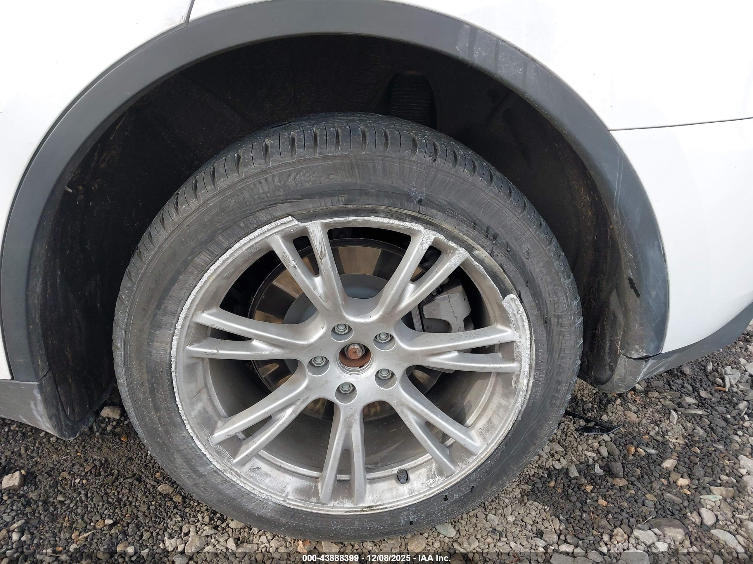 TESLA MODEL image 6
