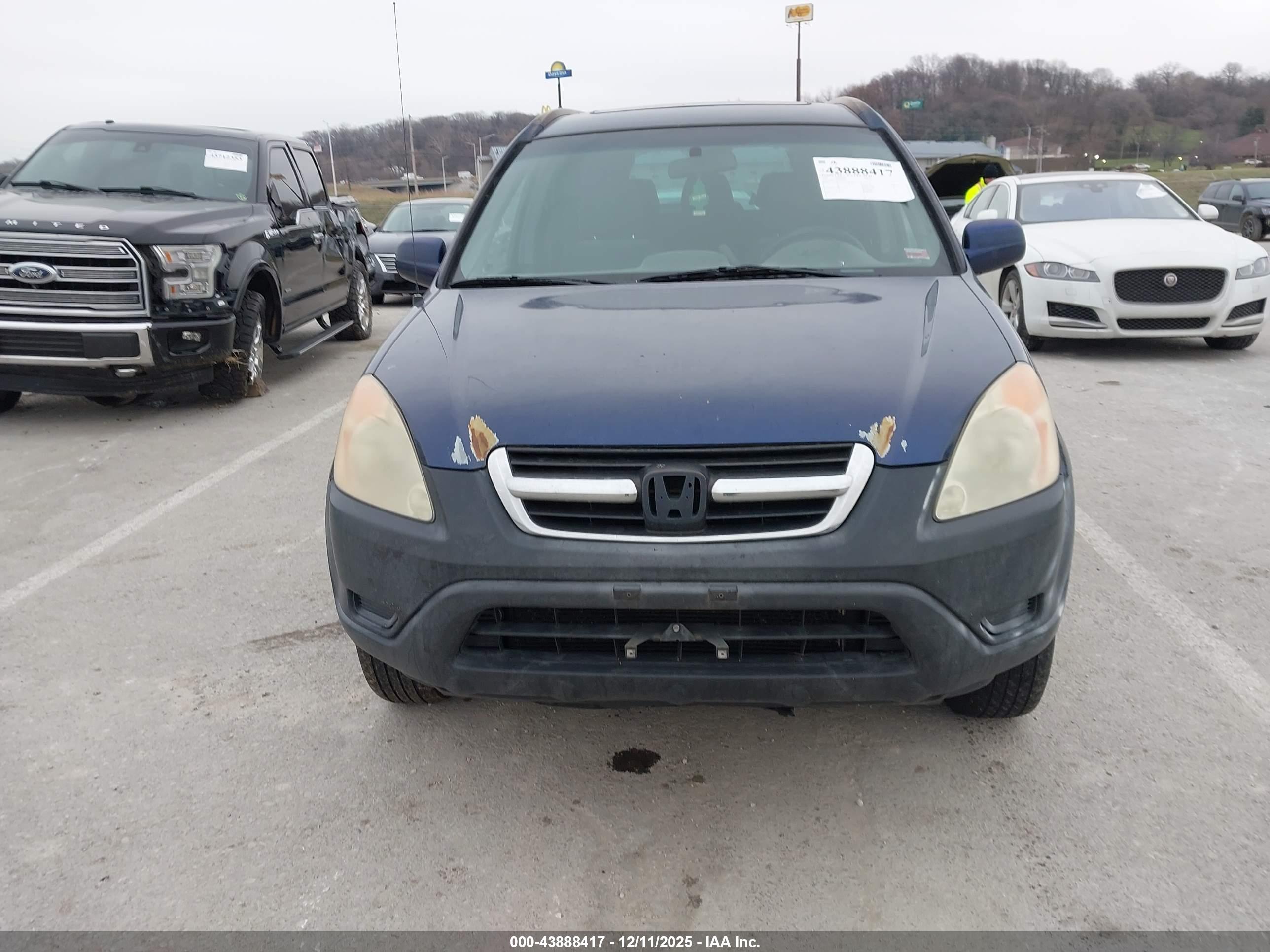 HONDA CR-V image 6