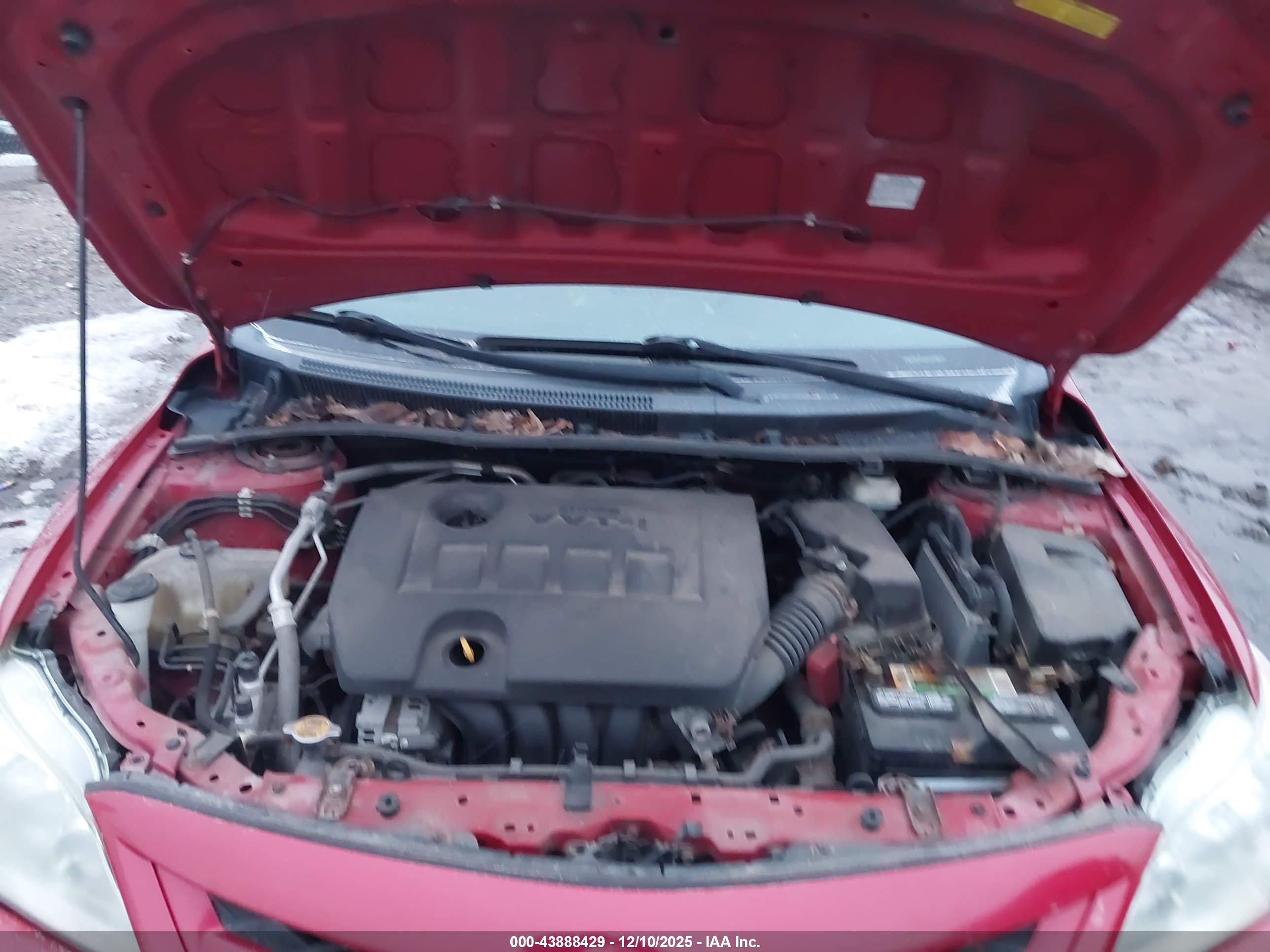 TOYOTA COROLLA image 10