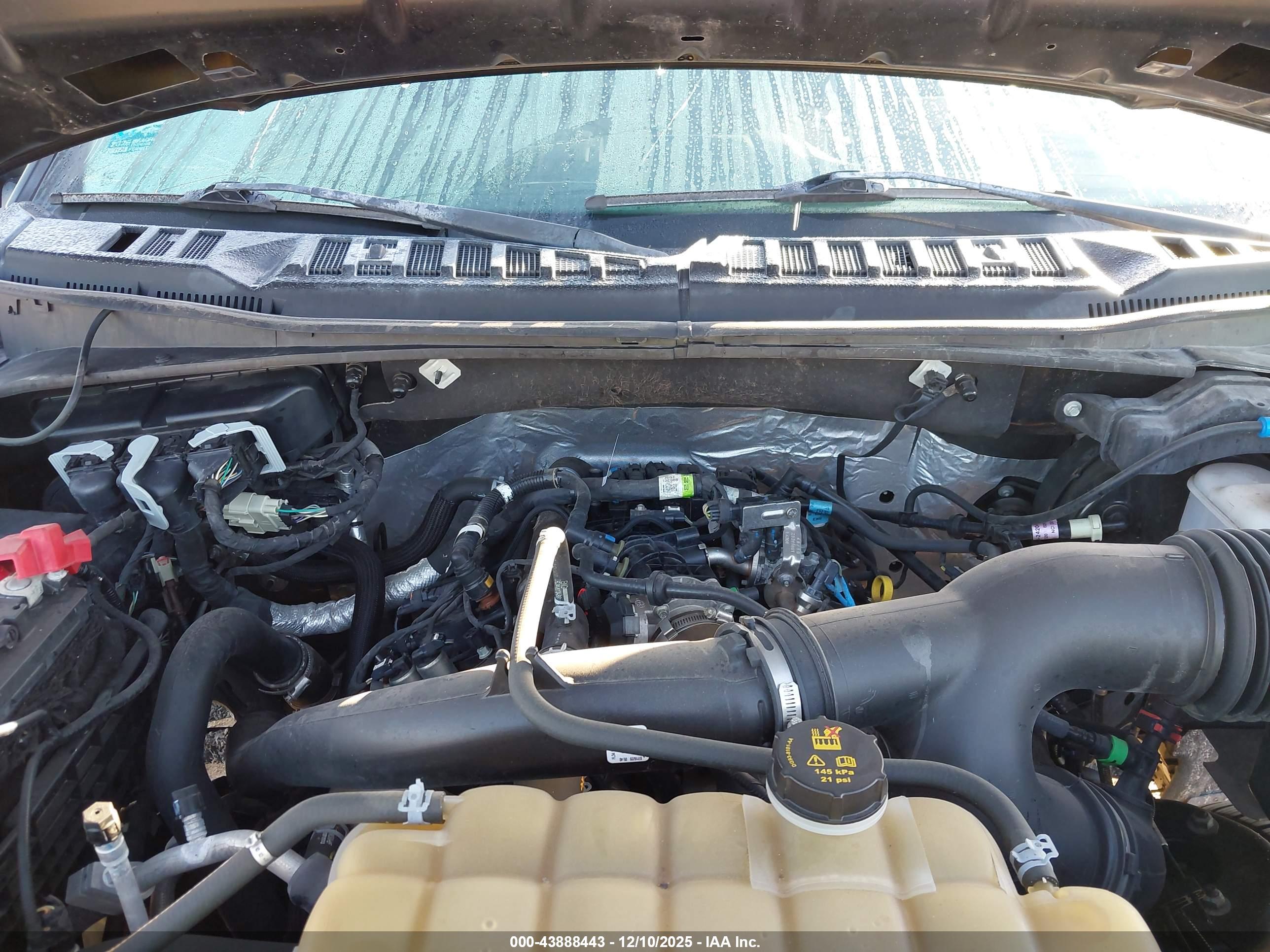FORD F-150 image 10
