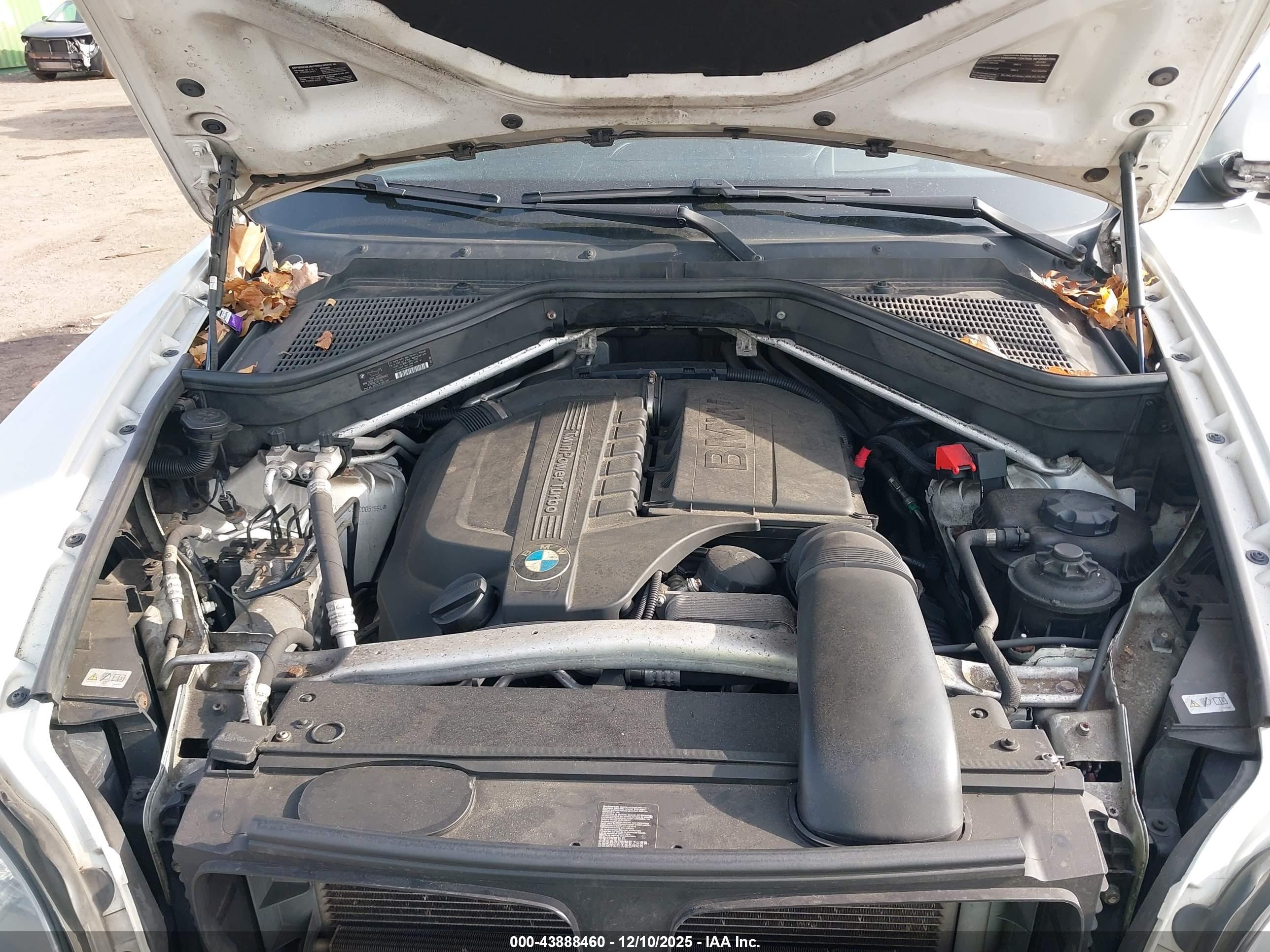 BMW X5 image 10