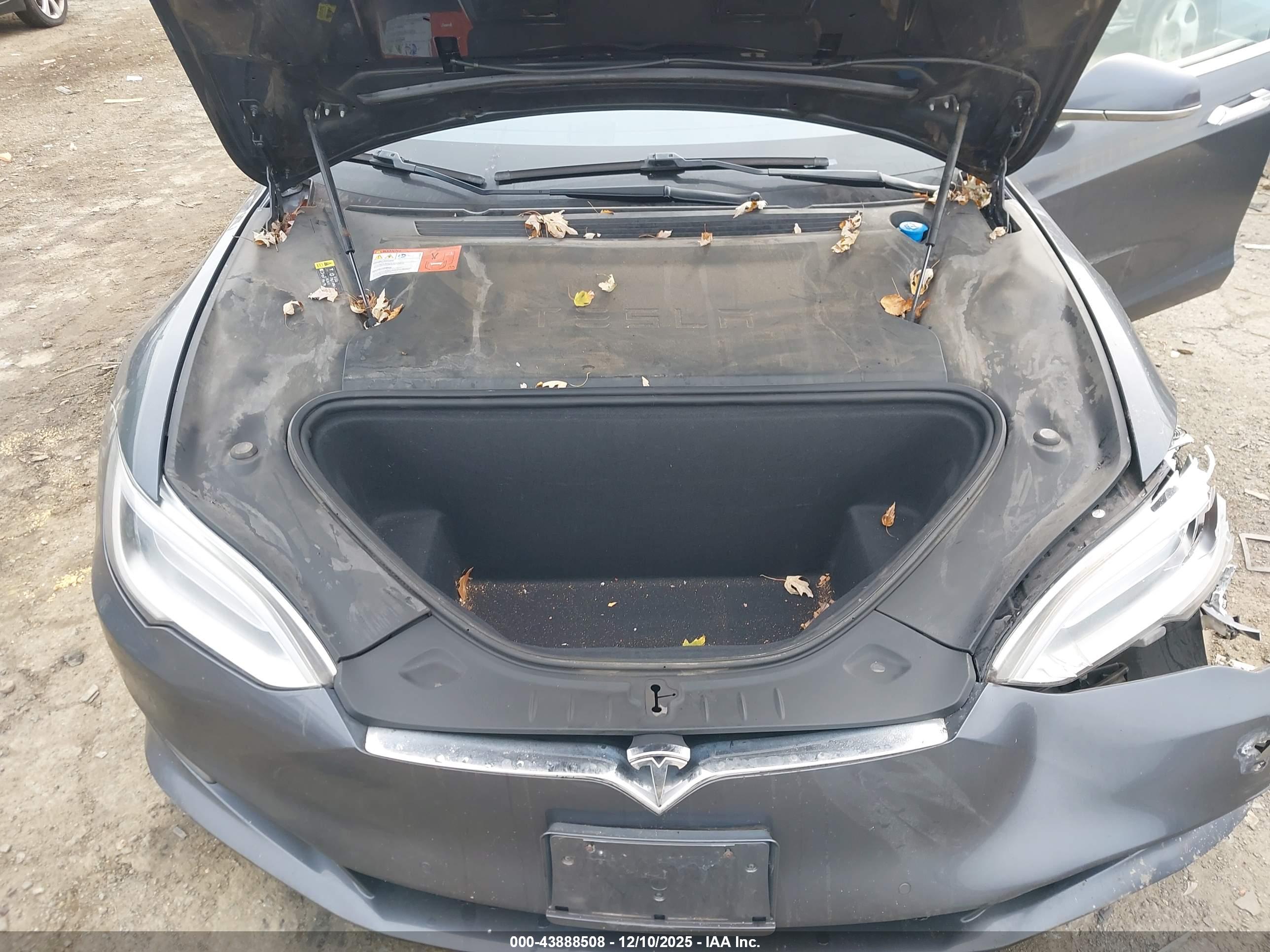 TESLA MODEL image 10