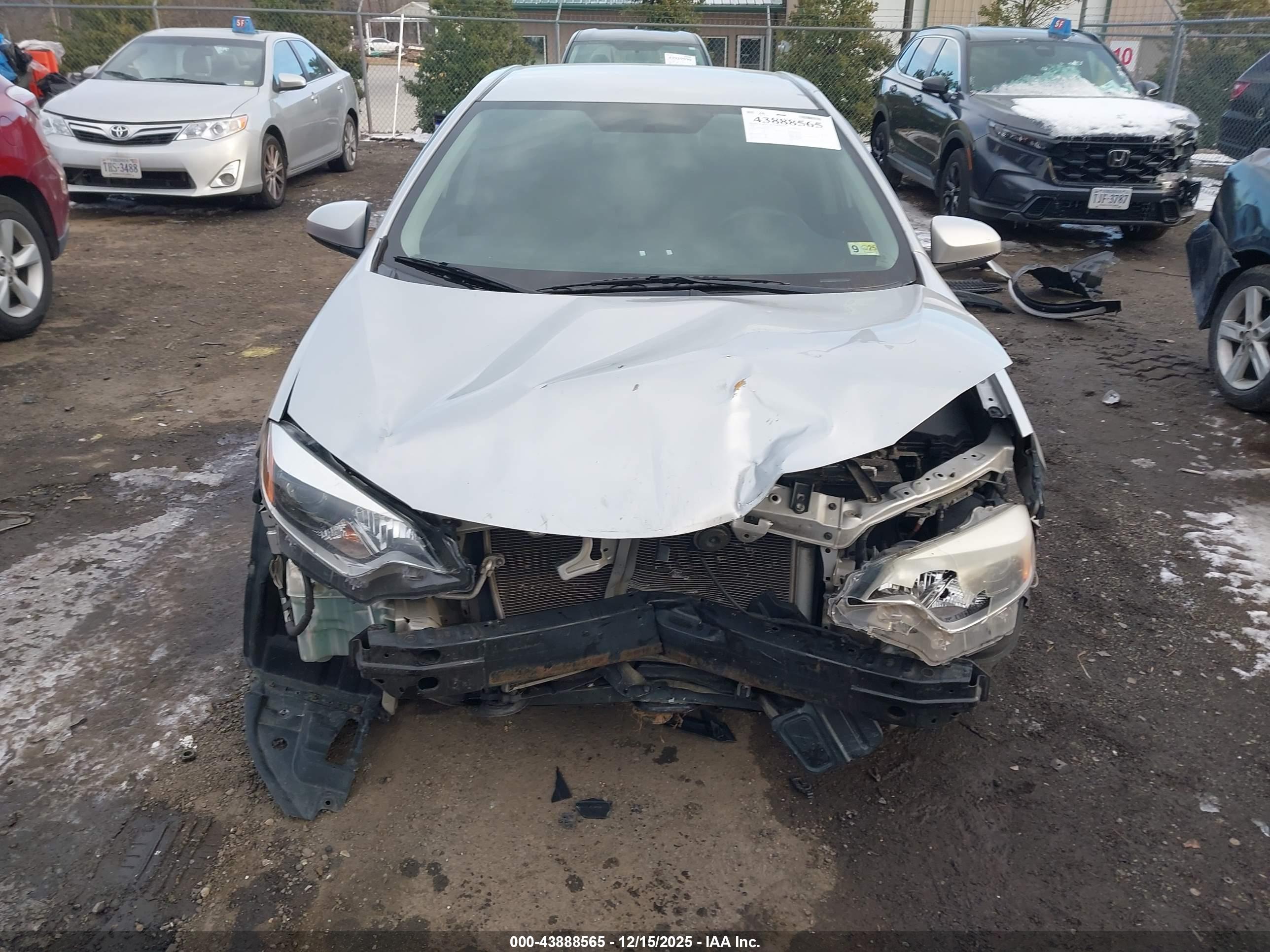 TOYOTA COROLLA image 6