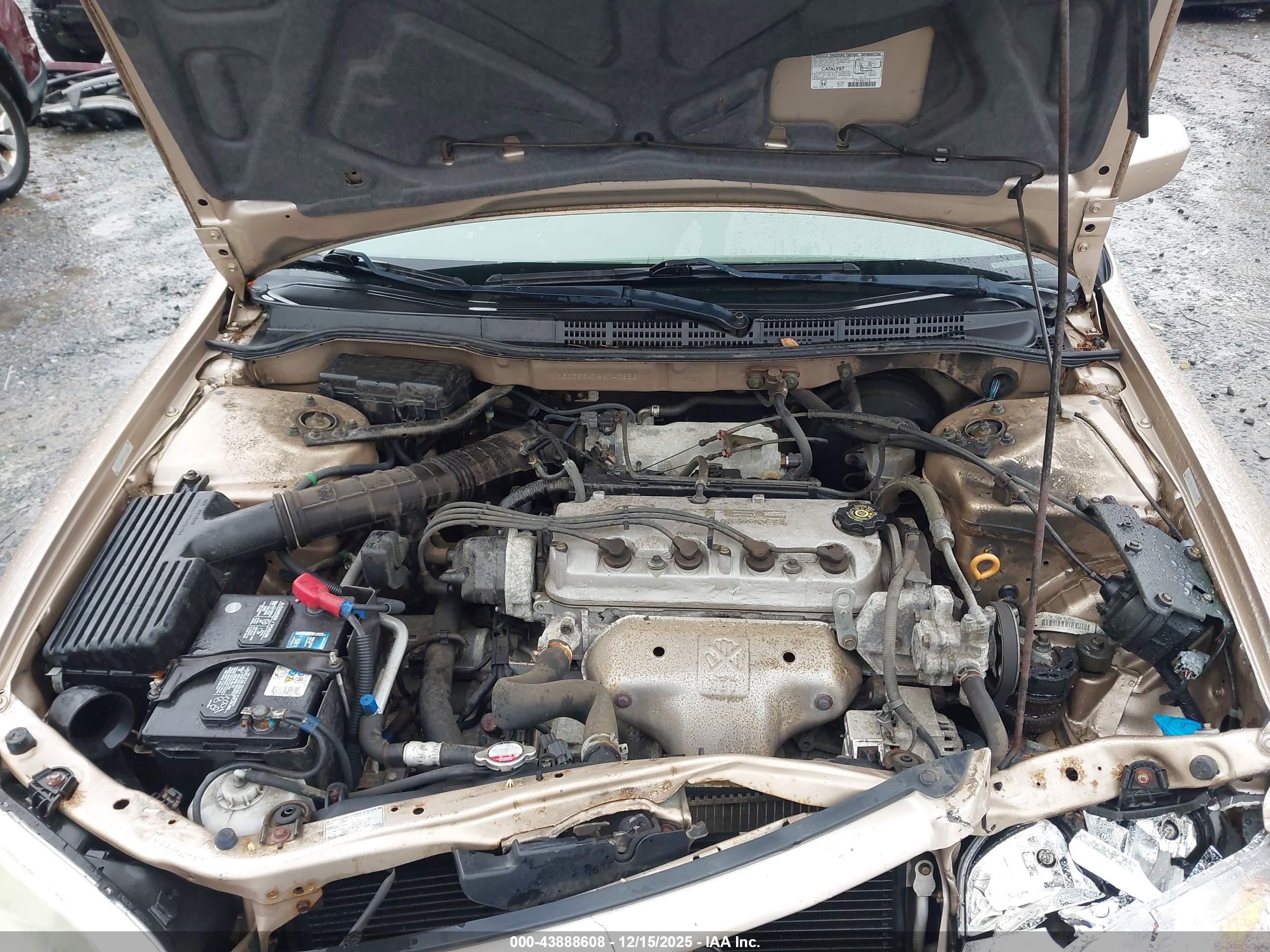 HONDA ACCORD image 10