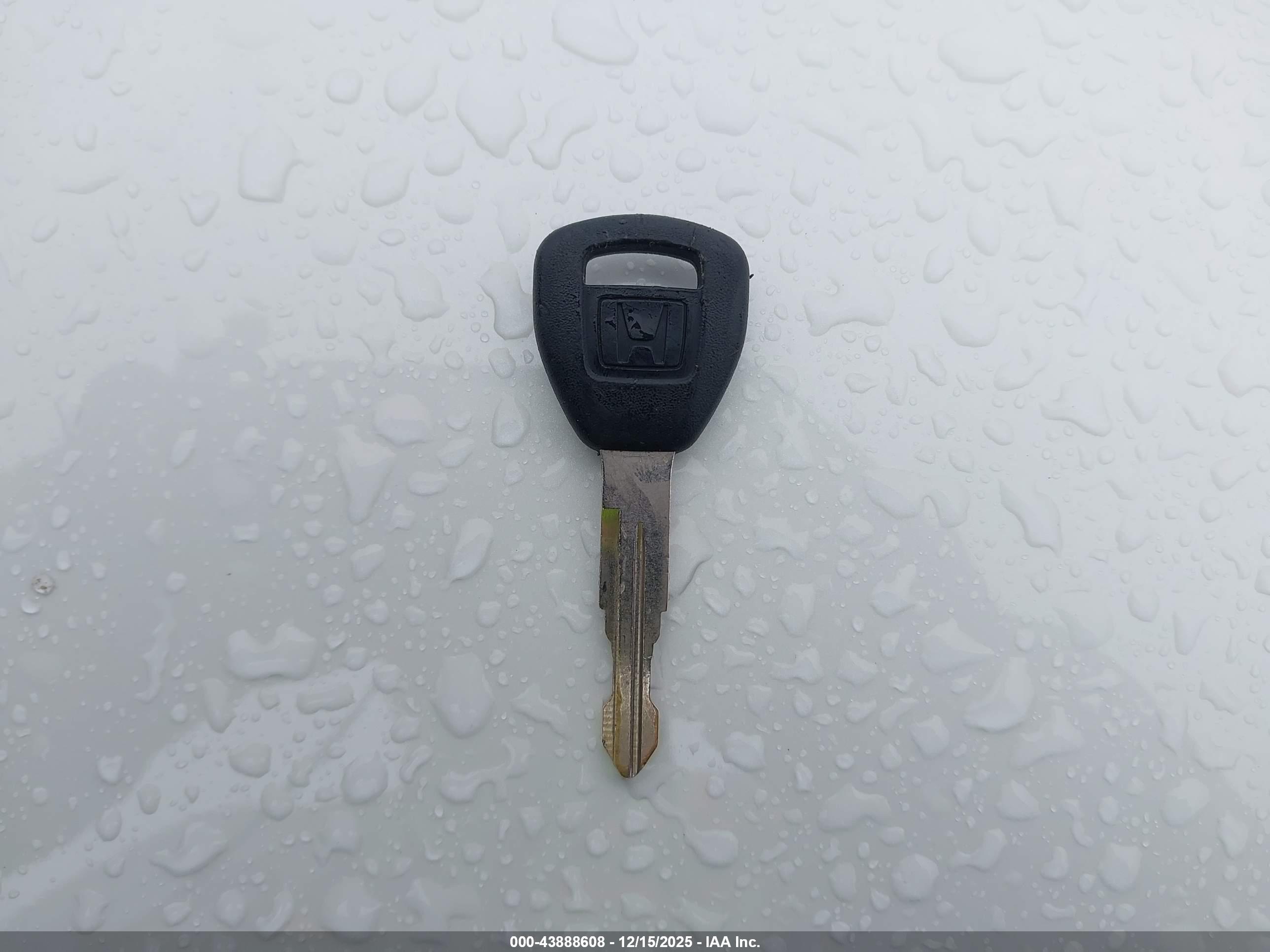 HONDA ACCORD image 11