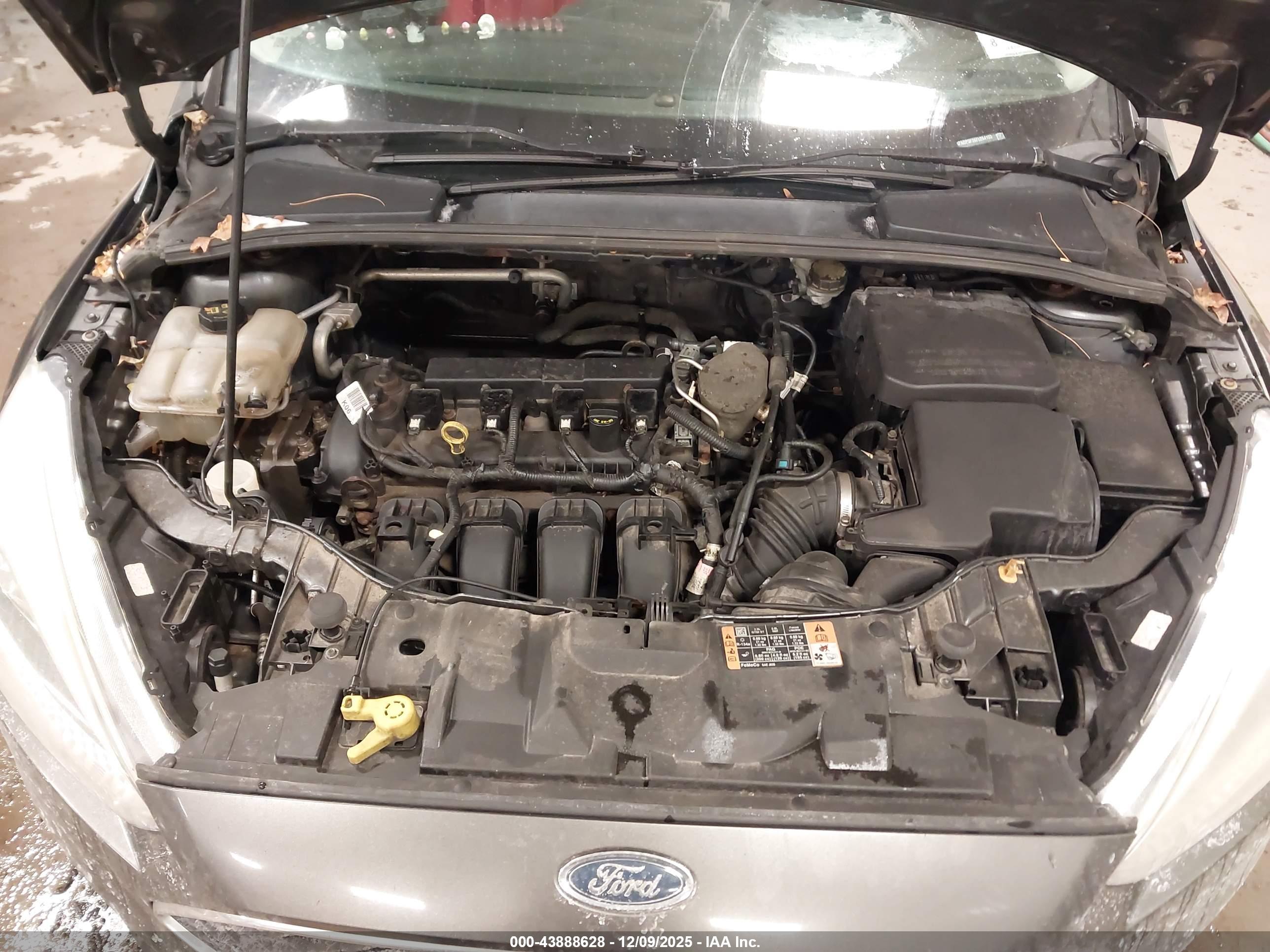 FORD FOCUS image 10