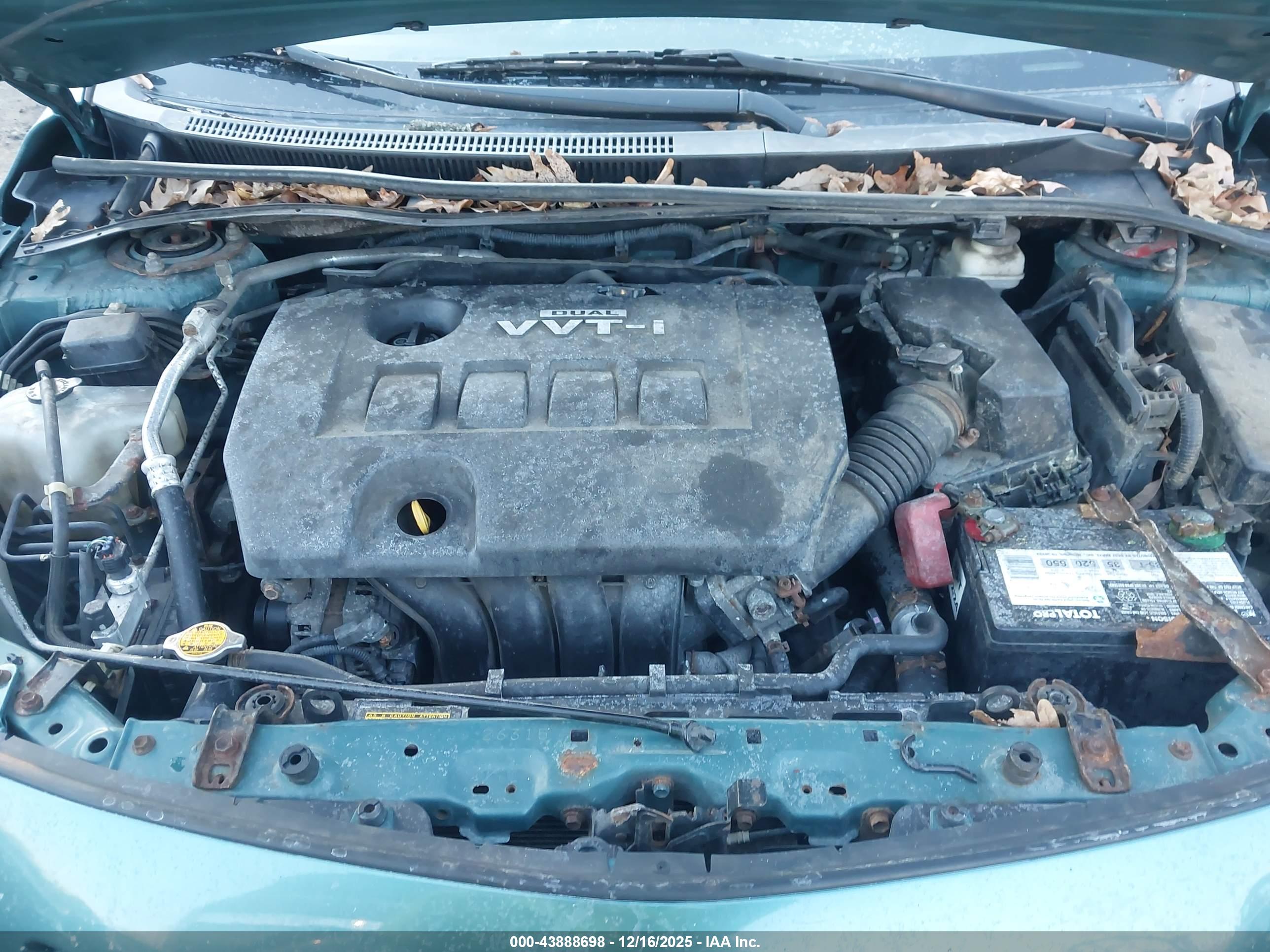 TOYOTA COROLLA image 10