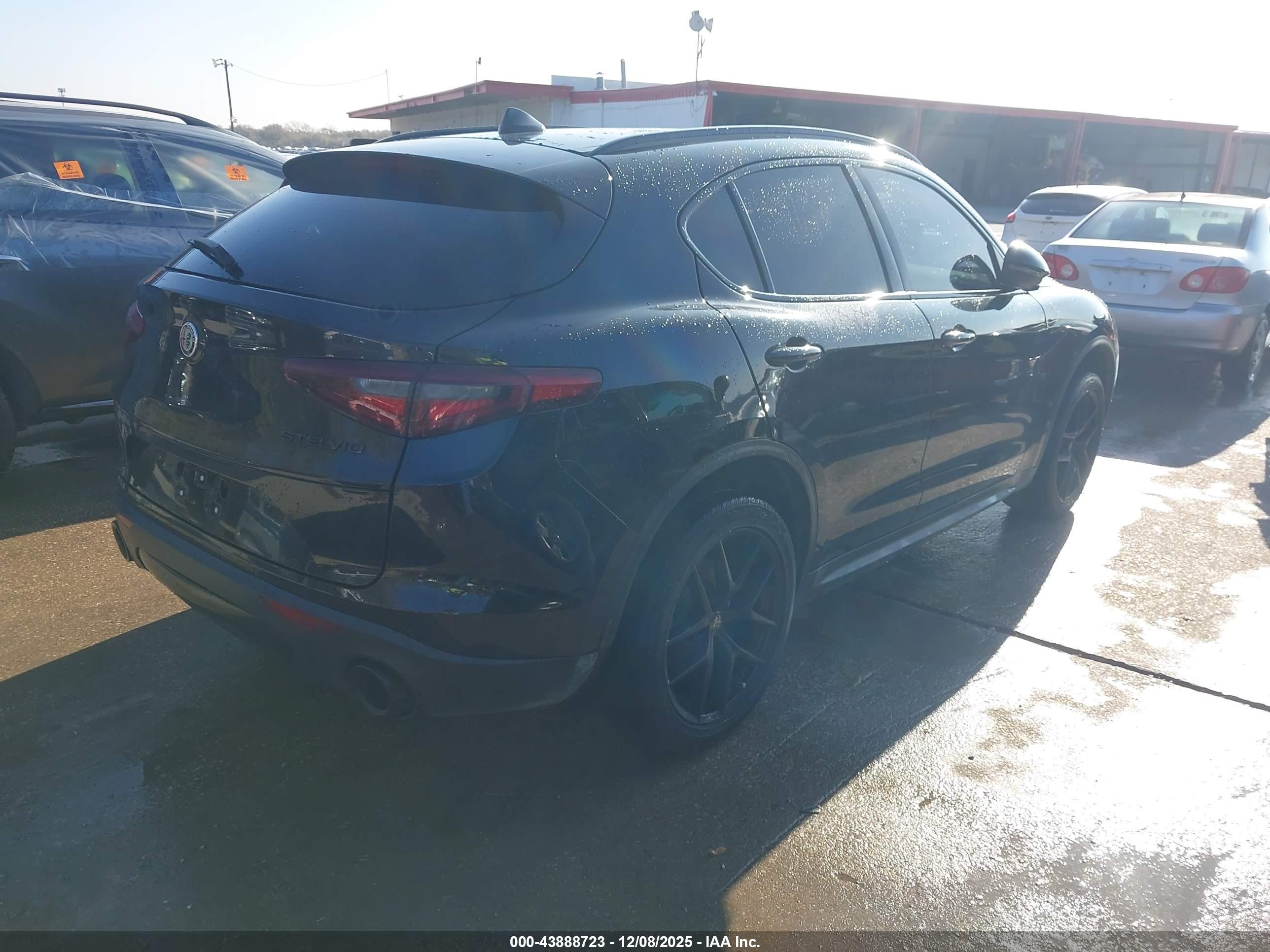 ALFA ROMEO image 4