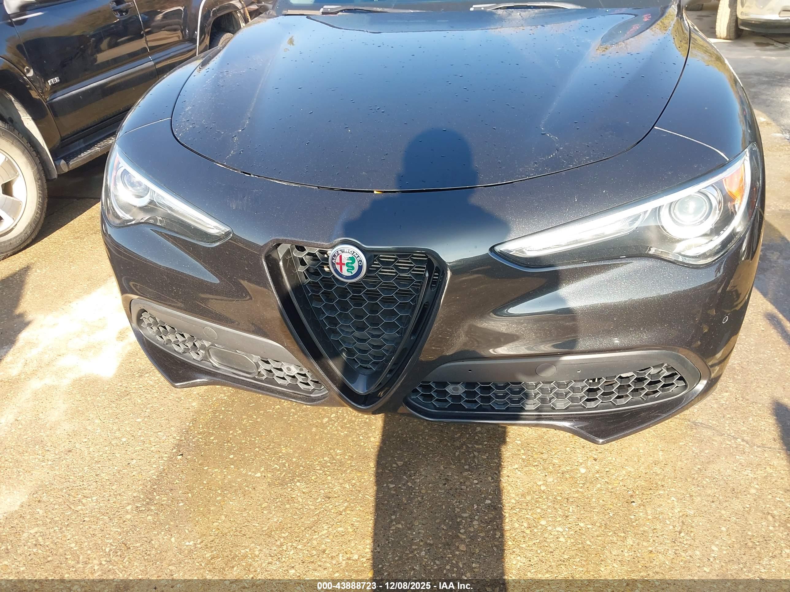 ALFA ROMEO image 6